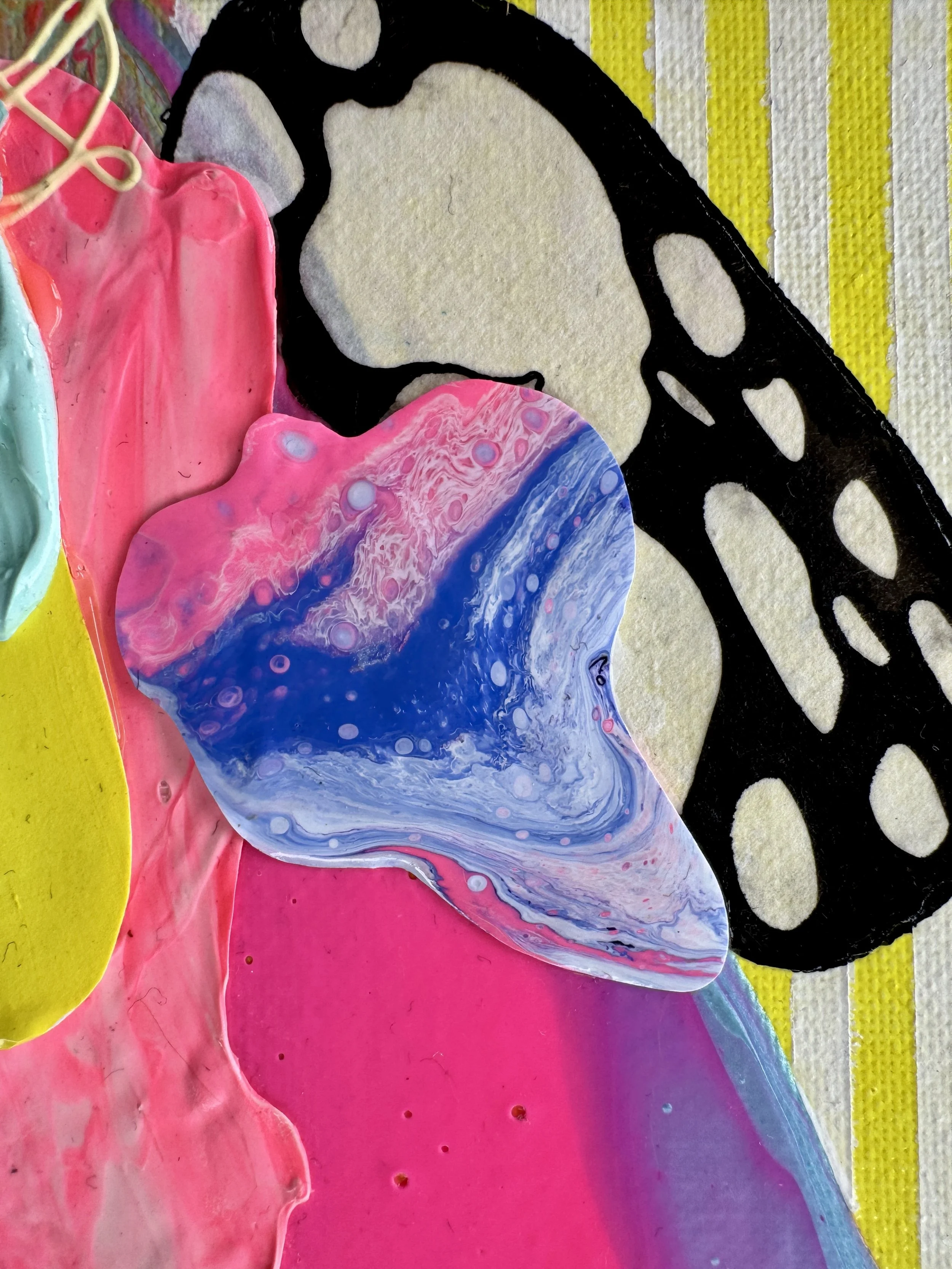 Butterfly Bonanza Close Up.jpg