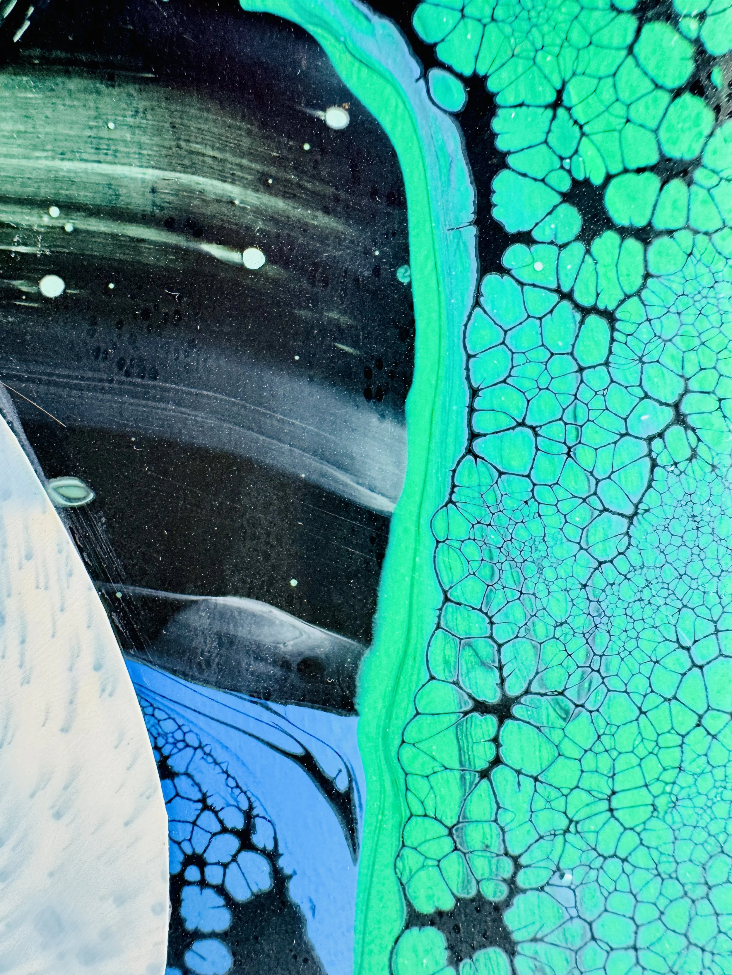 Full To Bursting Close Up 3.jpg