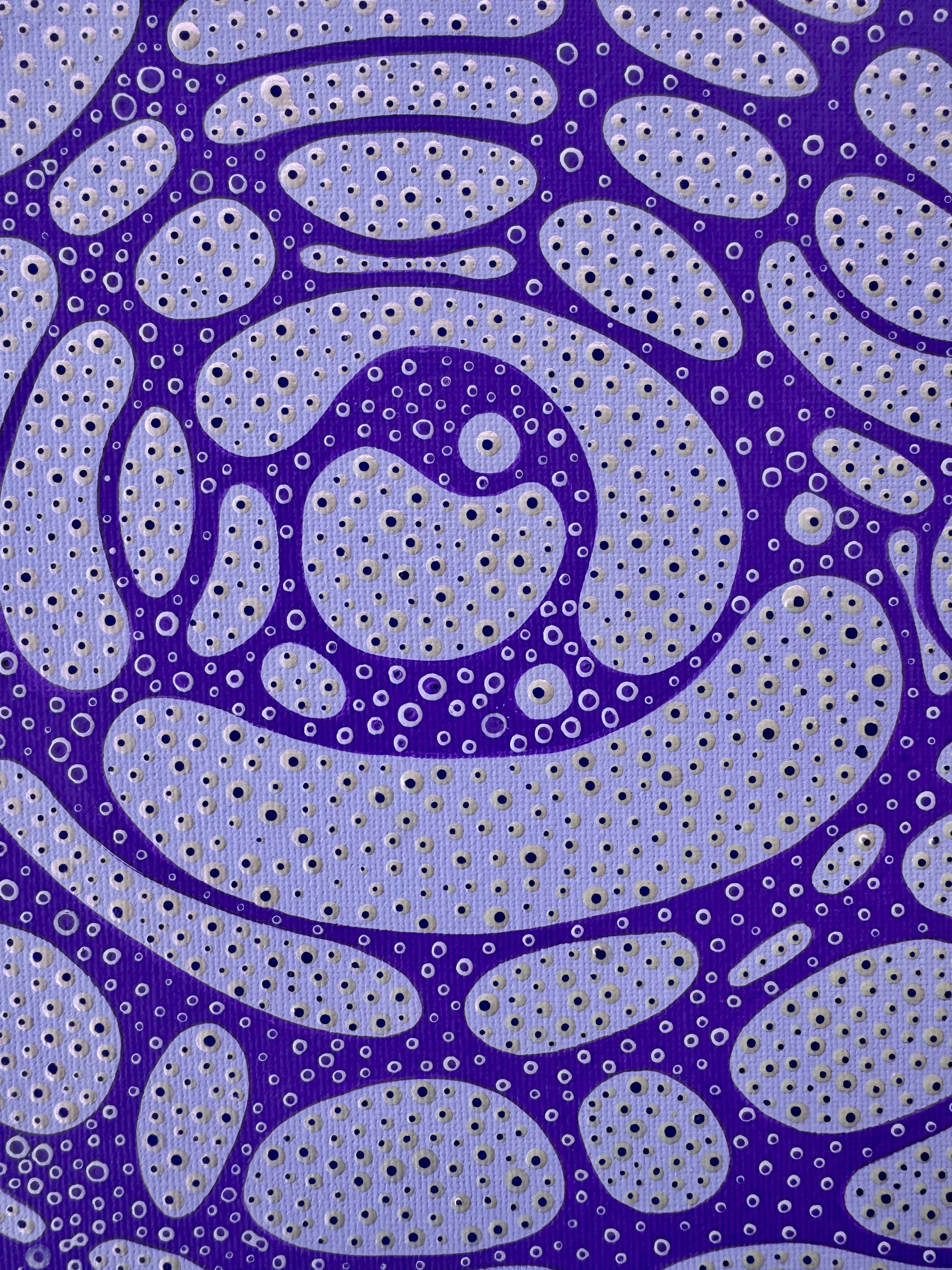 Photo 16-2-2026, 5 49 04 pm.jpg