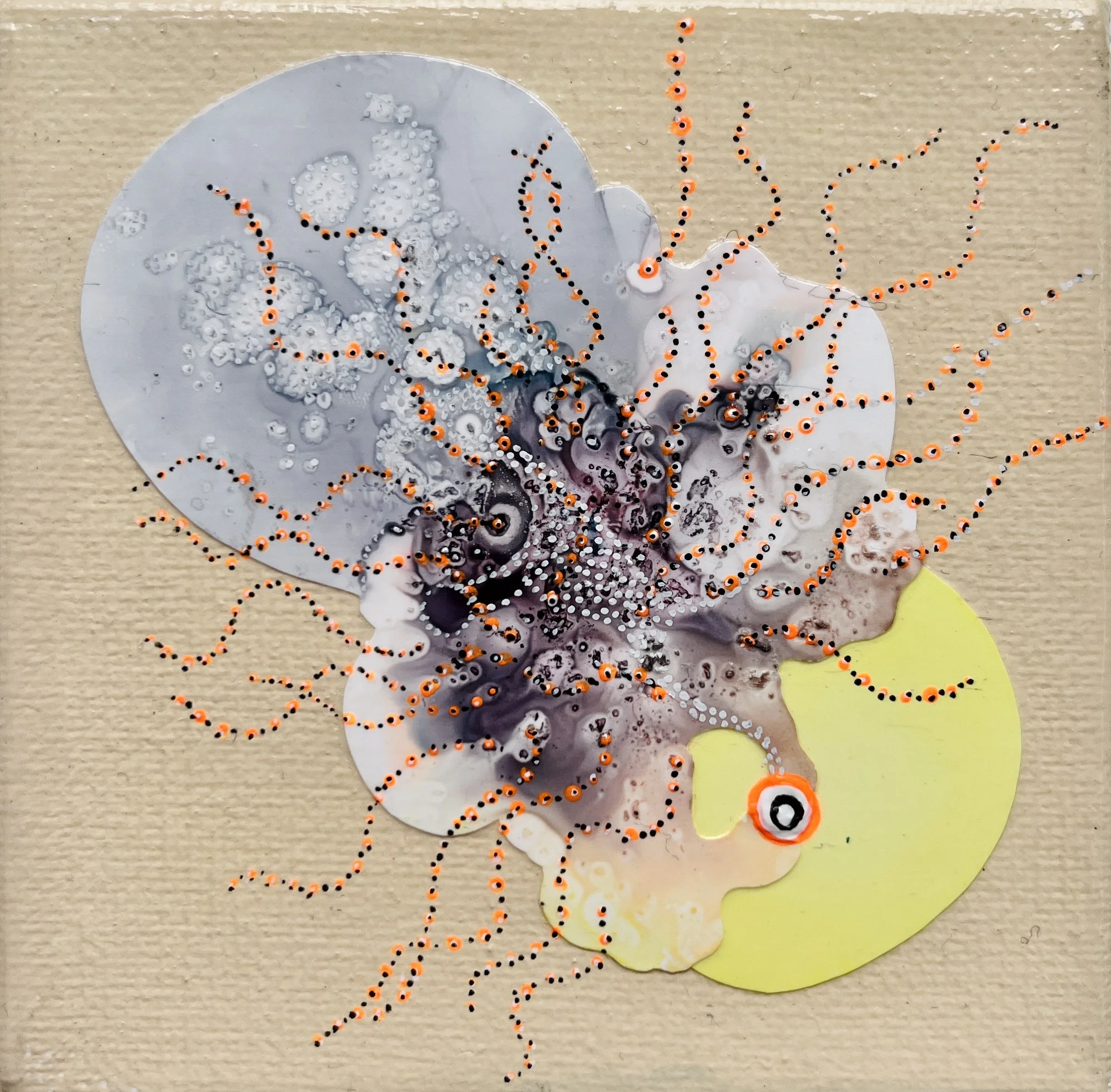 Particle Study 14_Danyal de Gruchy.jpg