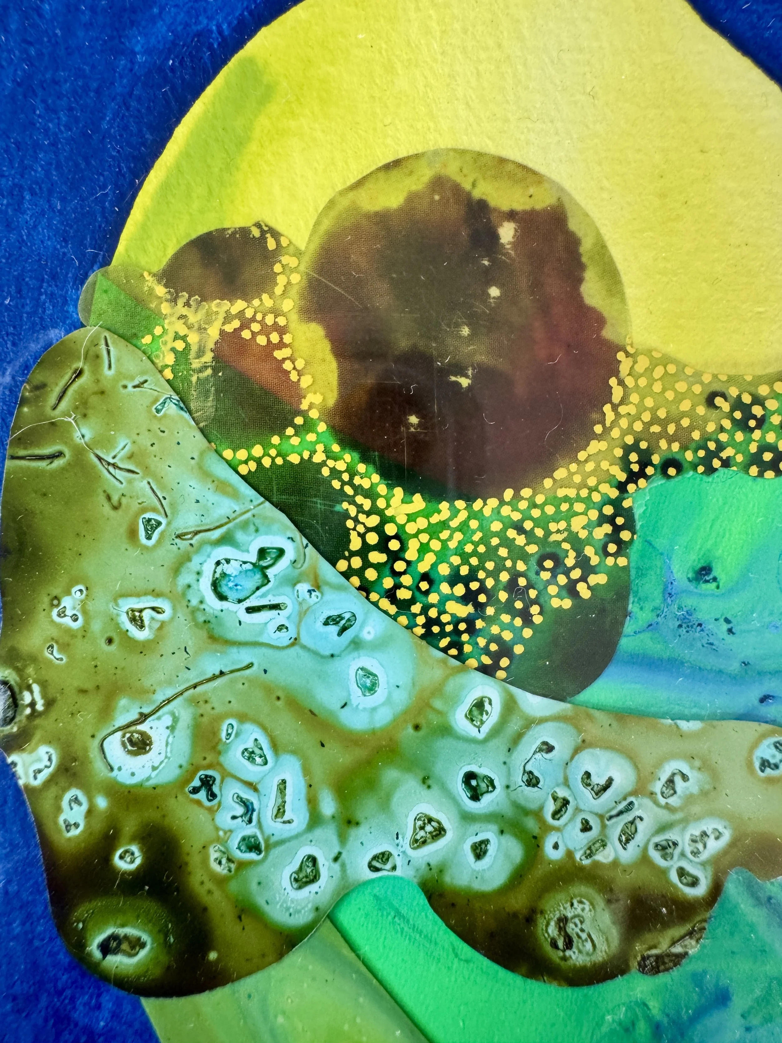 Moth Lessons Close Up.jpg