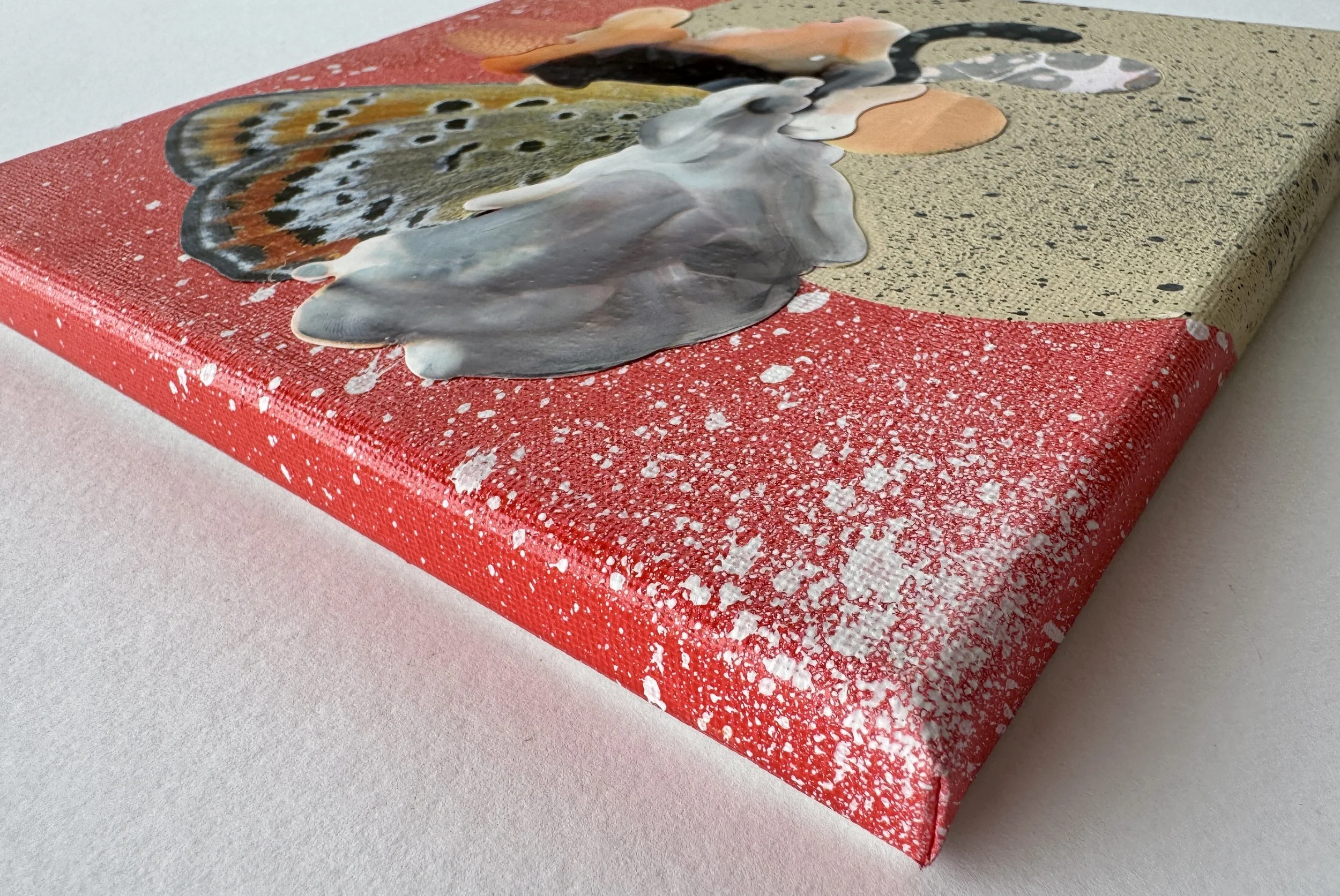 When Butterflies Get Bored Side View.jpg