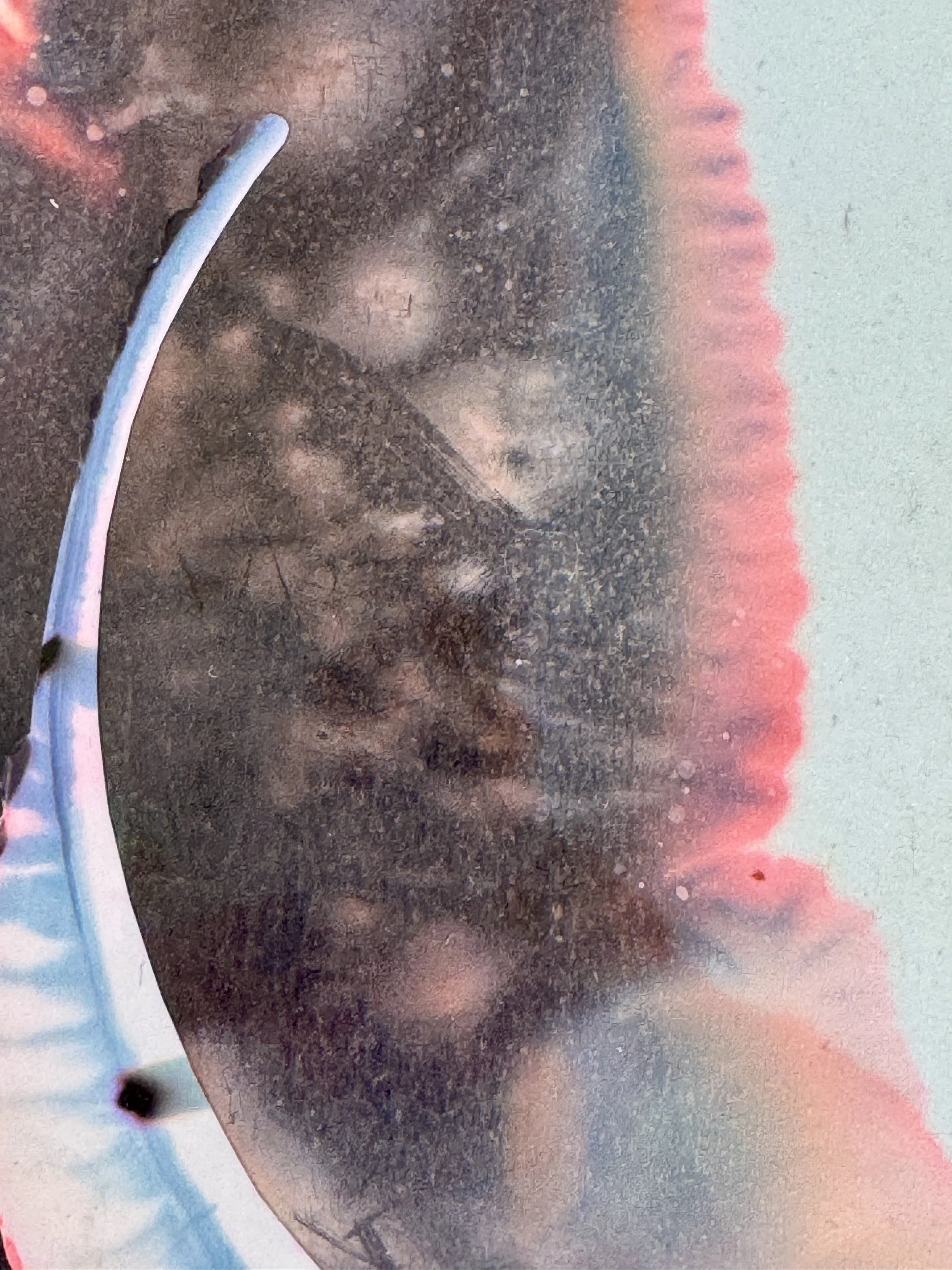 Skin Dance Close Up.jpg