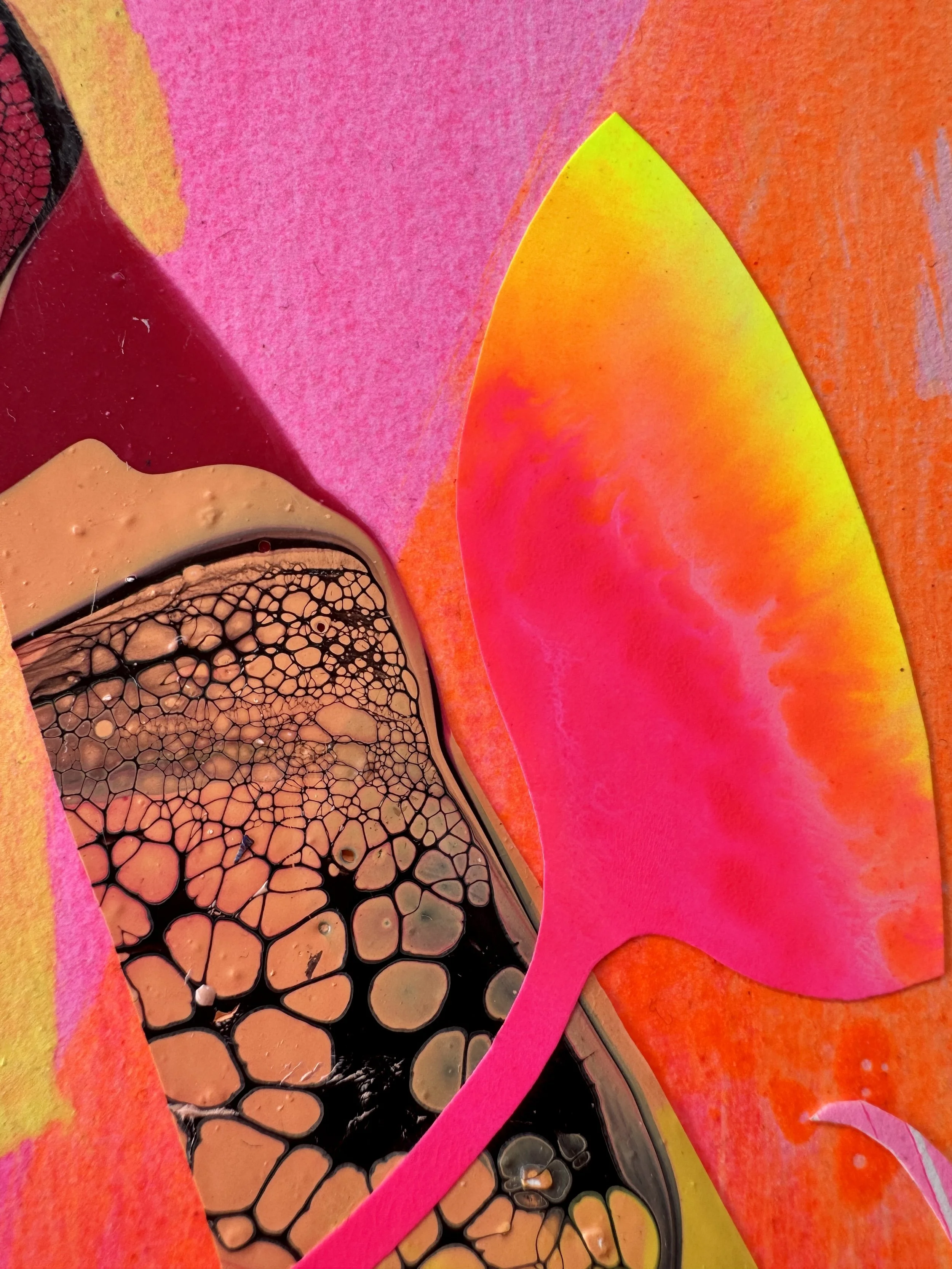 Windsurfer Close Up.jpg