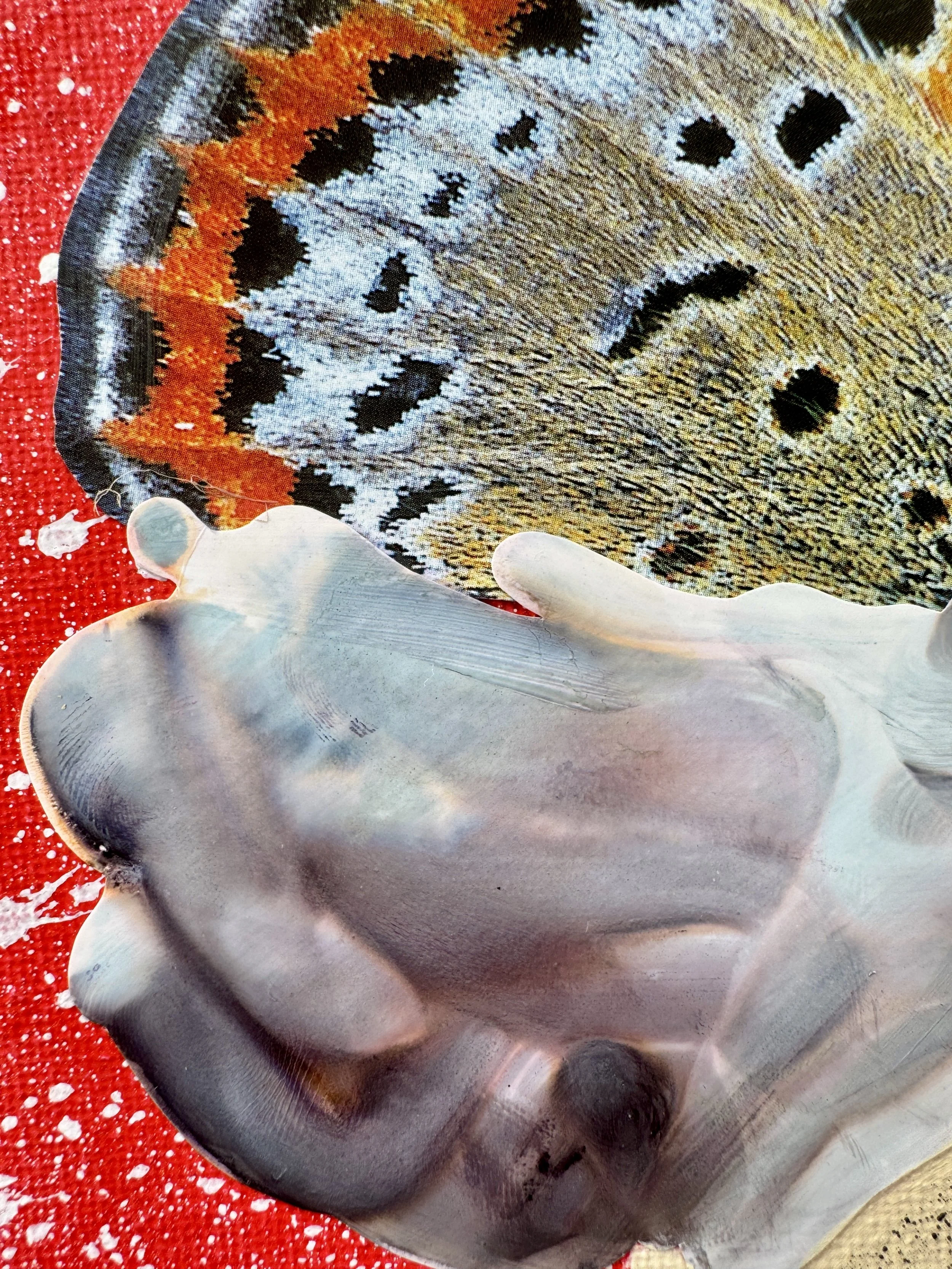 When Butterflies Get Bored Close Up.jpg