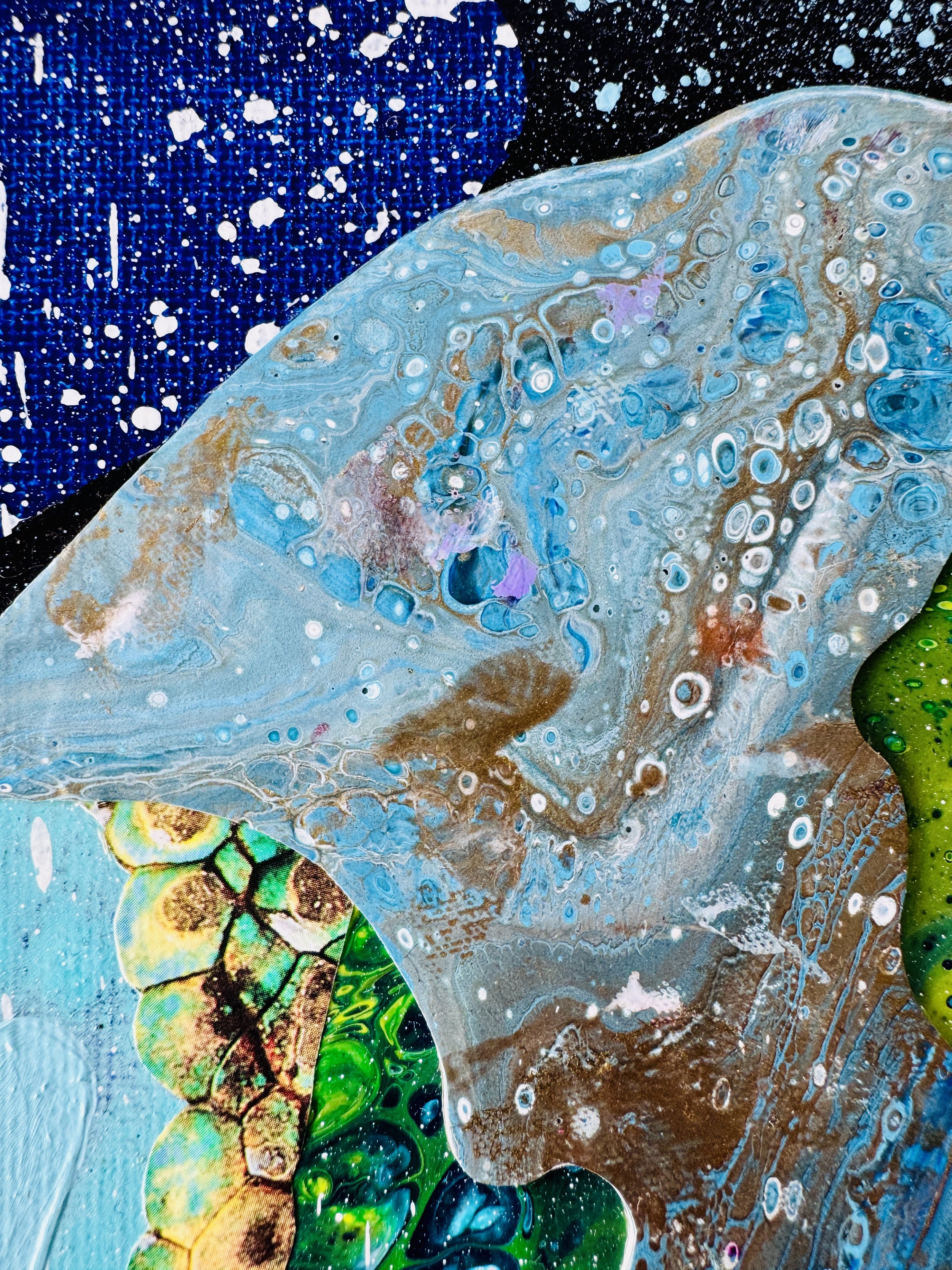 Turtle Stack Close Up 3.jpg