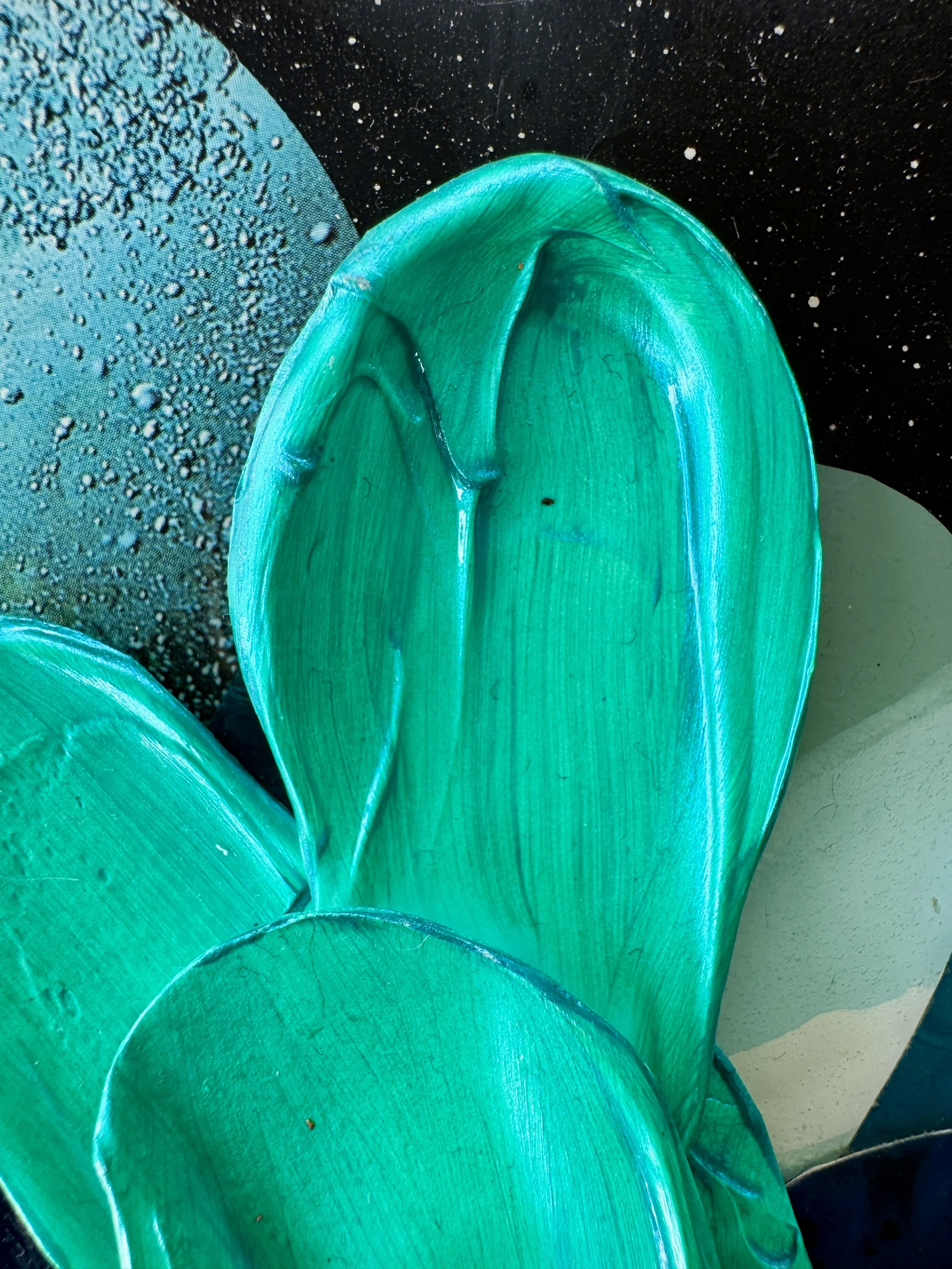 Splatagram Close Up 6.jpg