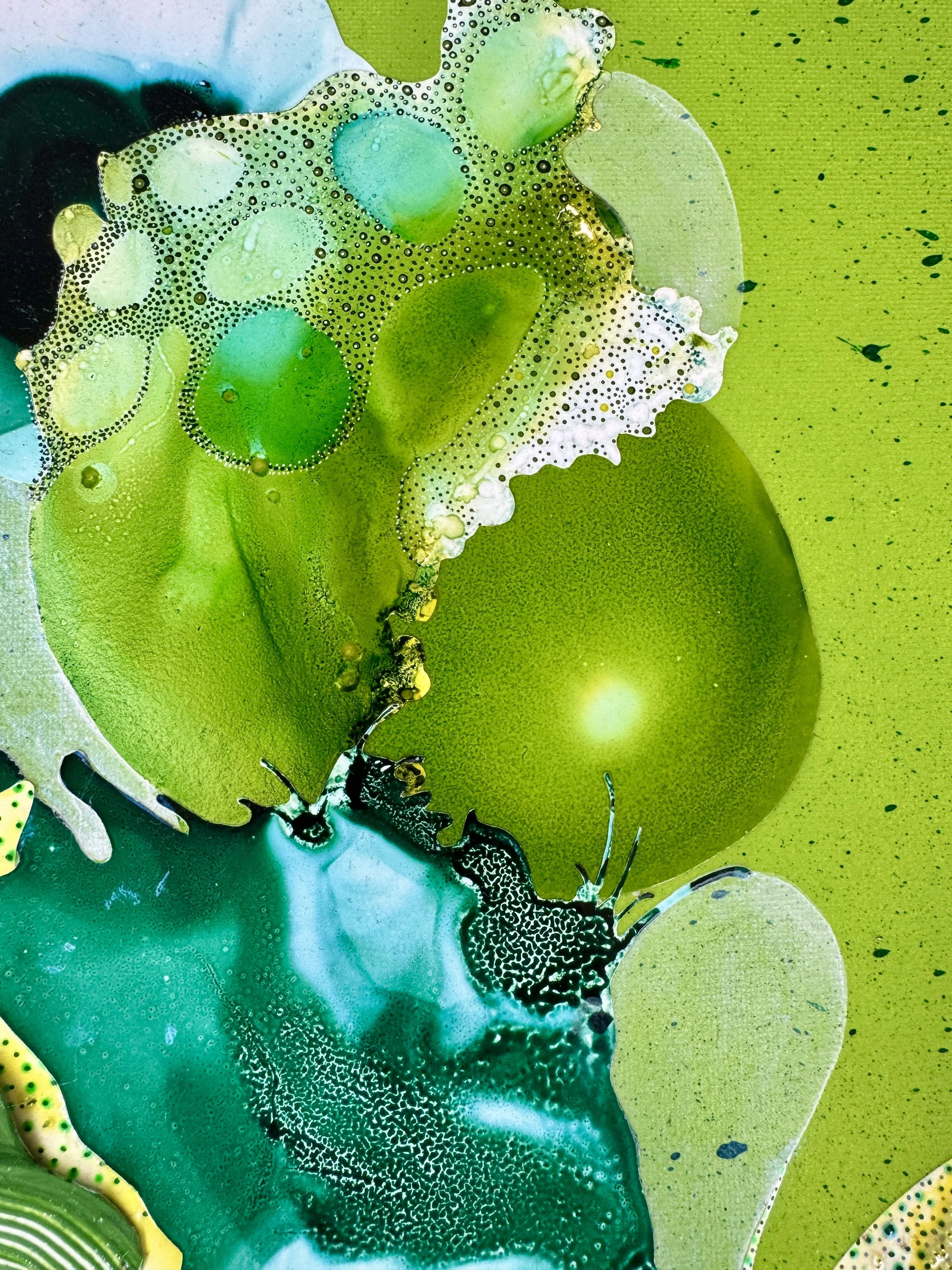 Algae Alchemy Close Up 3.jpg