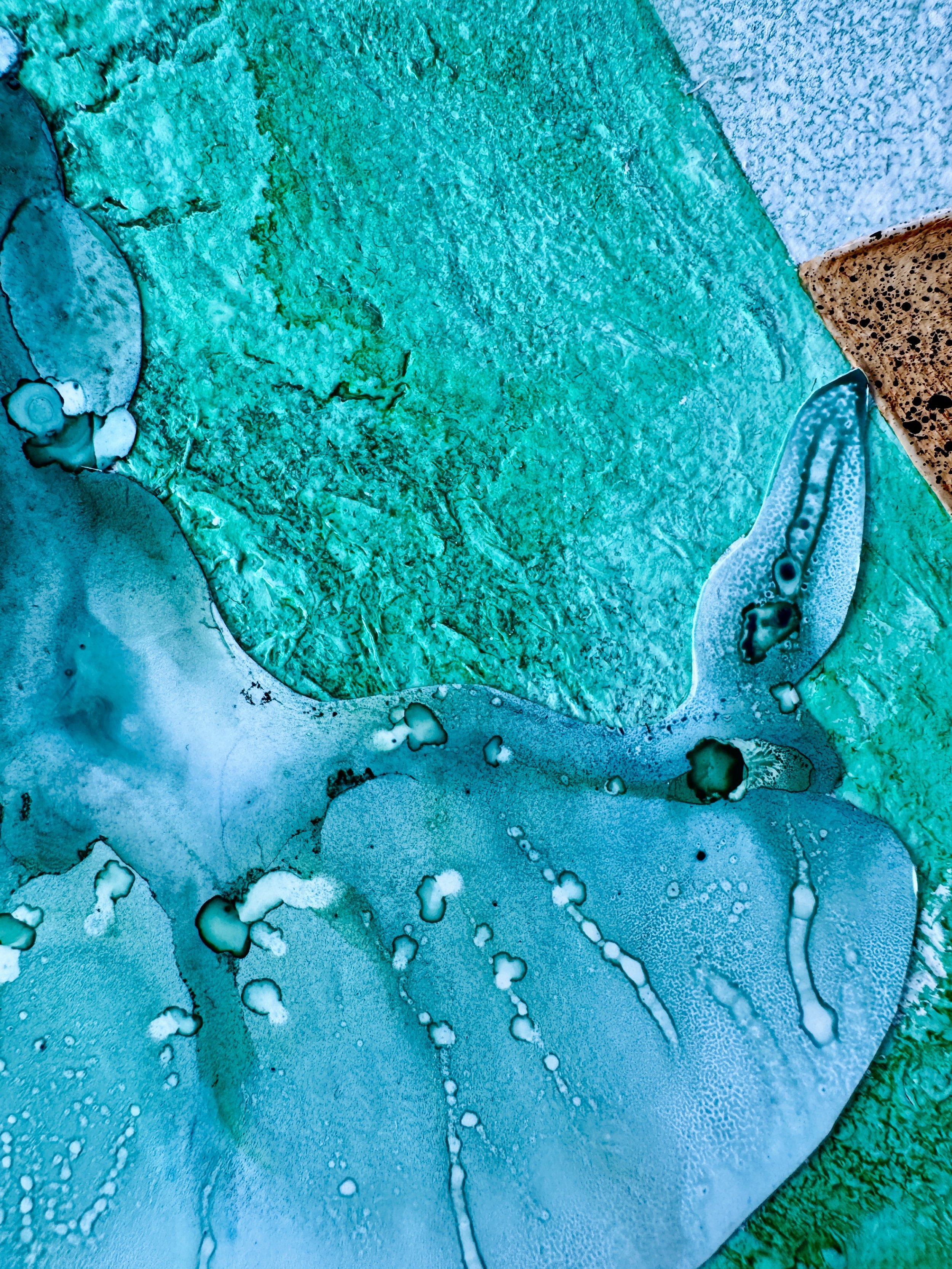 Imagine You're An Alien Close Up 2.jpg