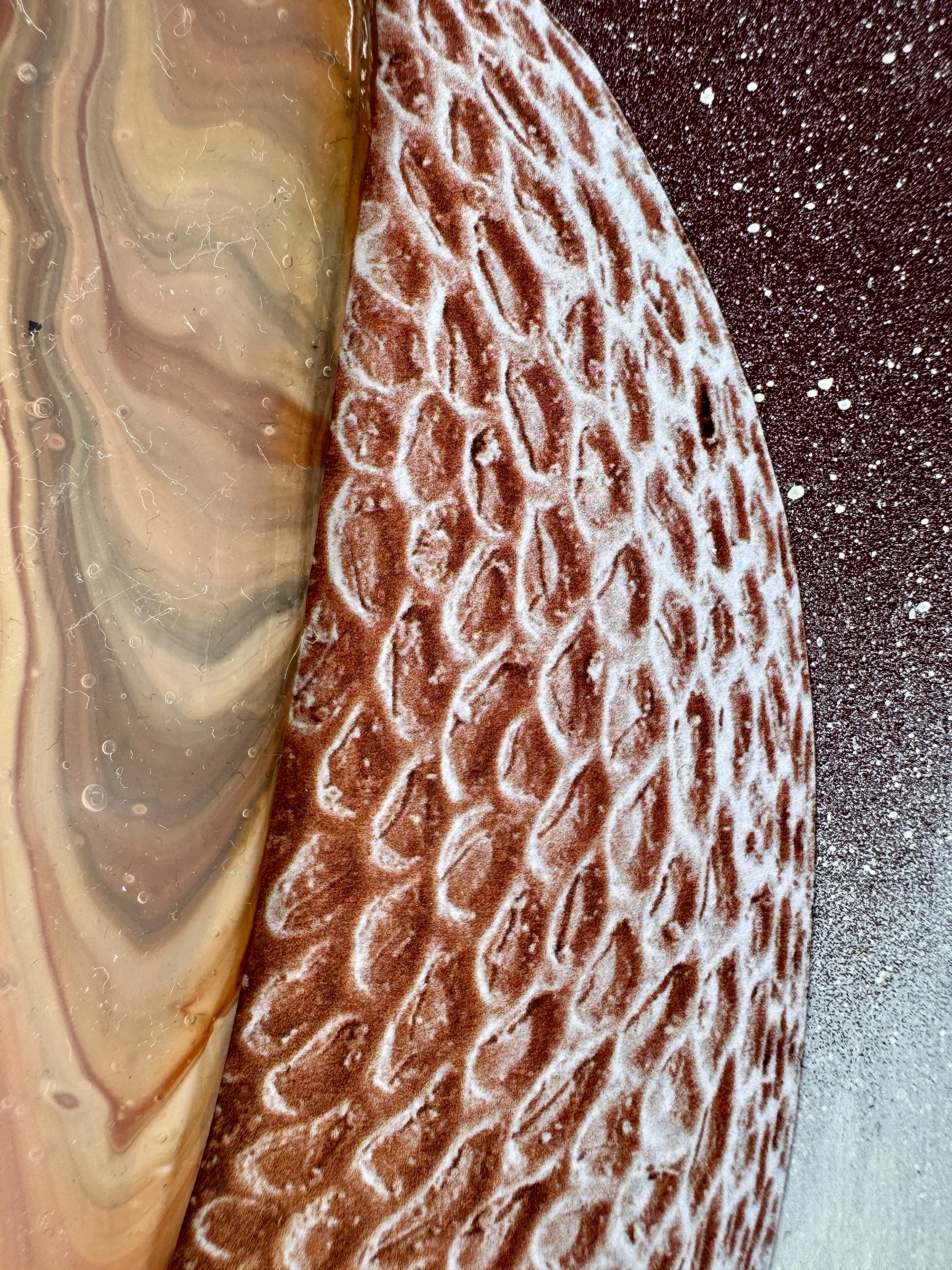 Stranger Things Close Up.jpg