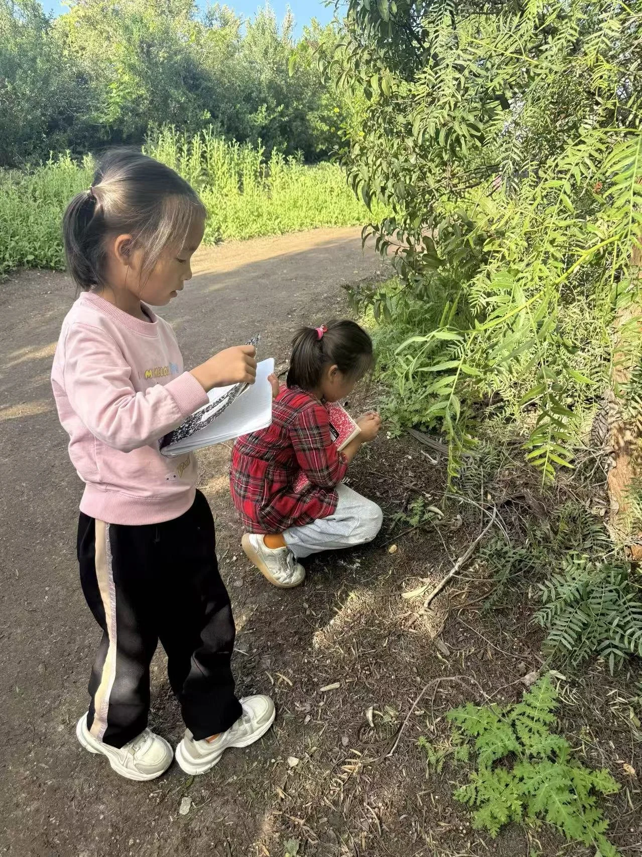 Weixin Image_20260125001210_61_31.jpg