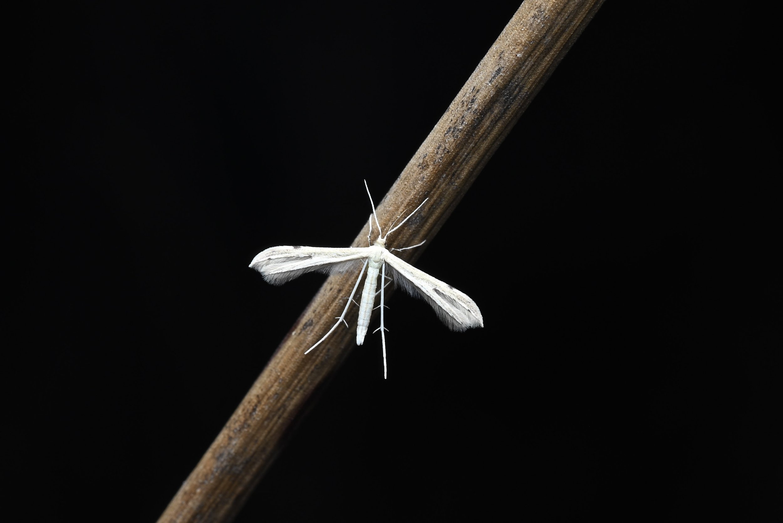 Weixin Image_20260103155403_30_31.jpg