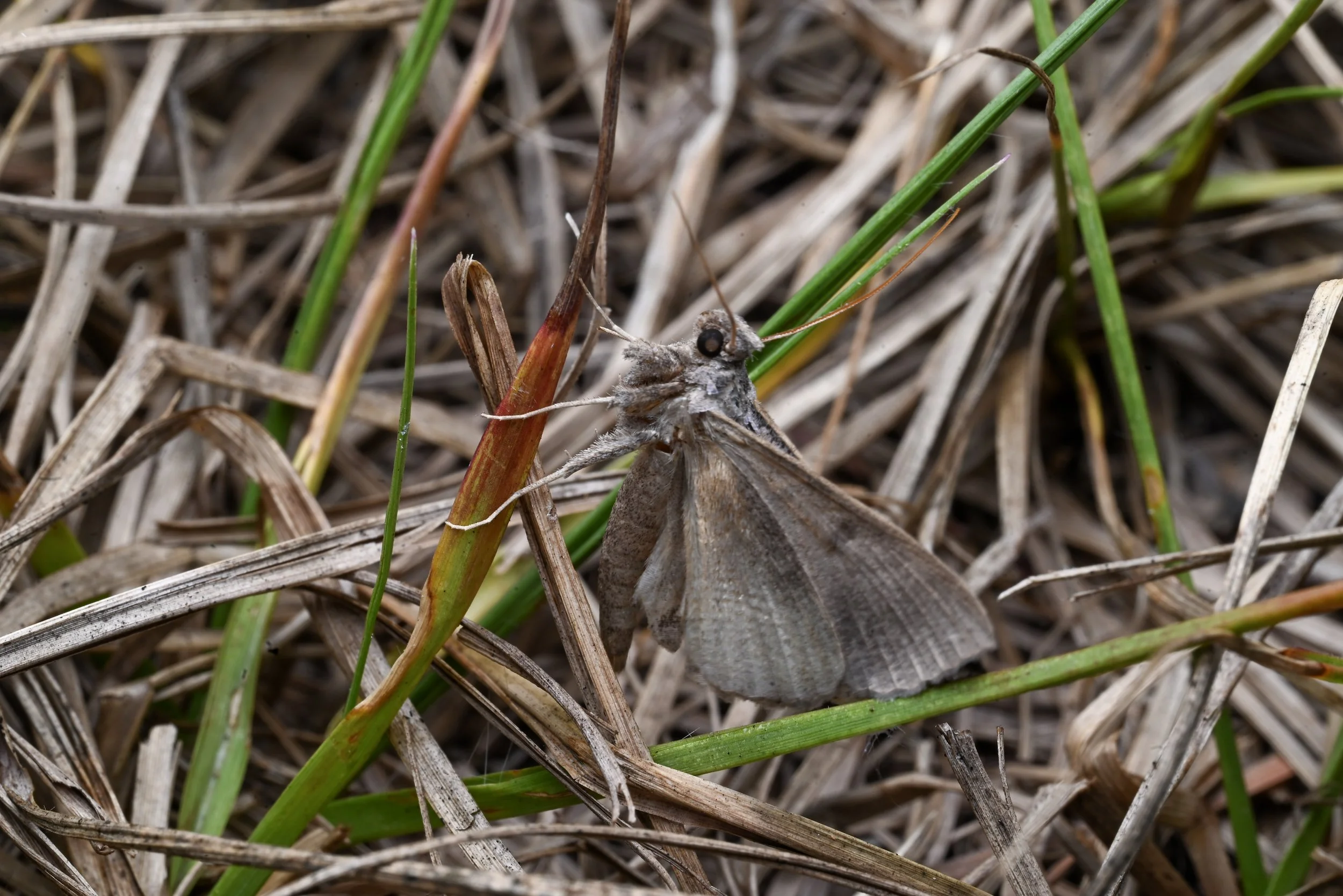 Weixin Image_20260103155416_33_31.jpg