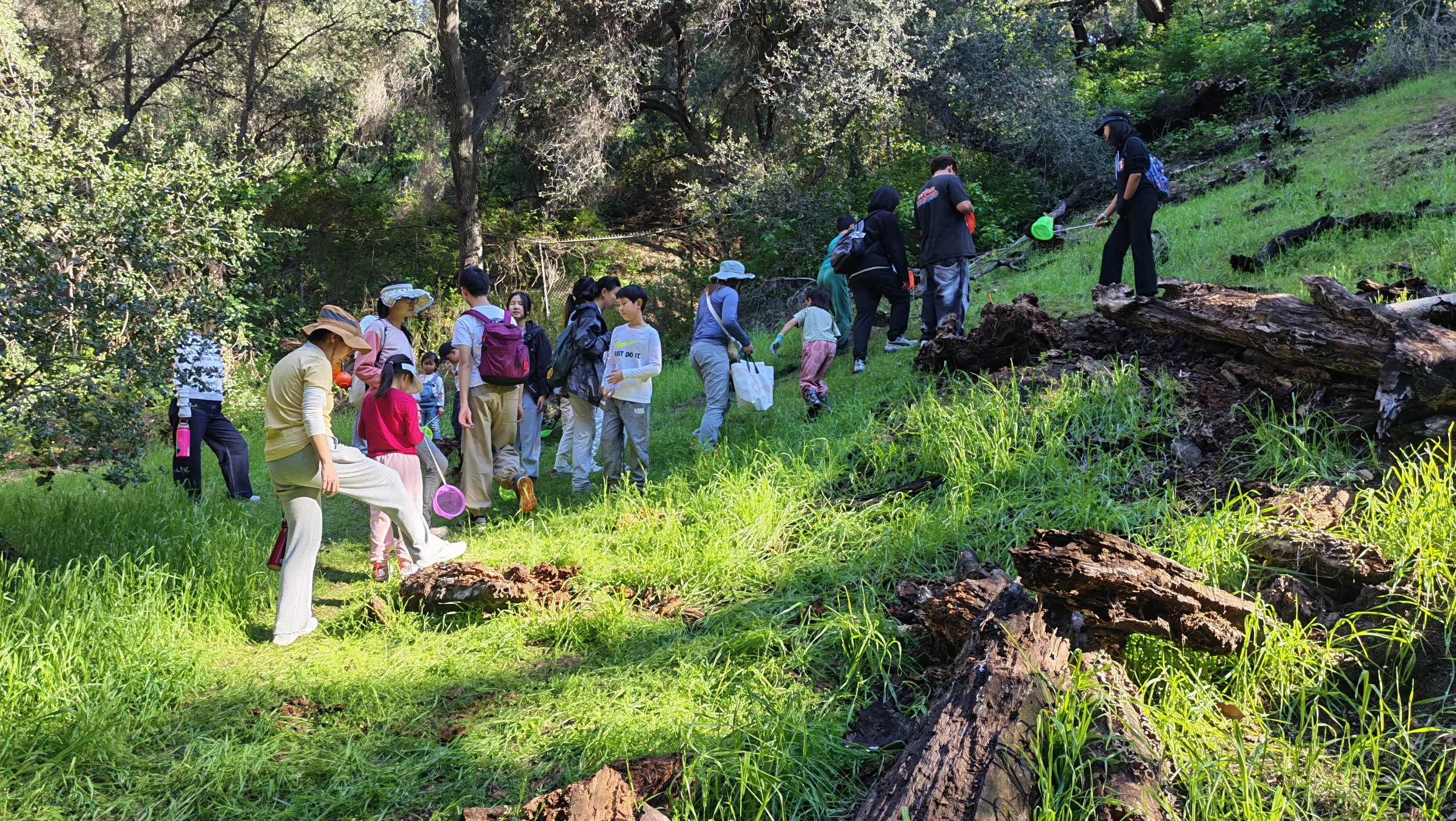 Arthropod Field Study: A San Dimas Nature Exploration