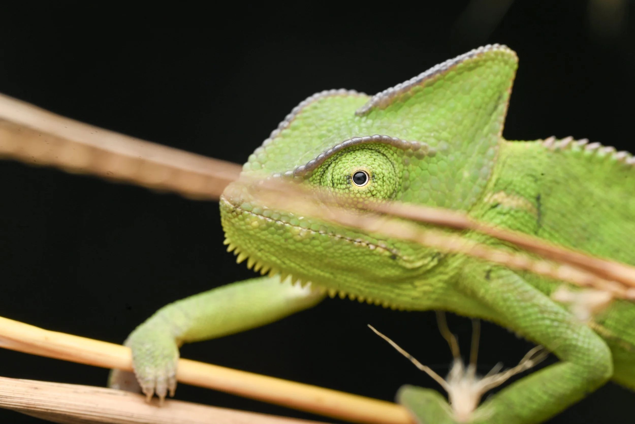 Weixin Image_20260103155452_37_31.jpg