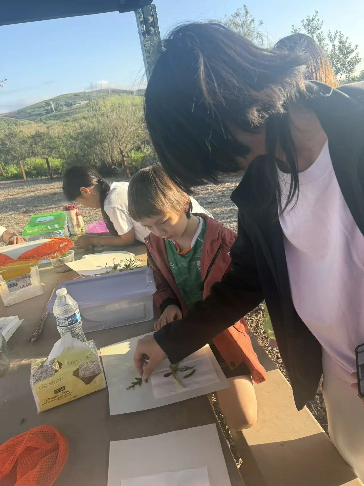 Weixin Image_20260125001432_69_31.jpg