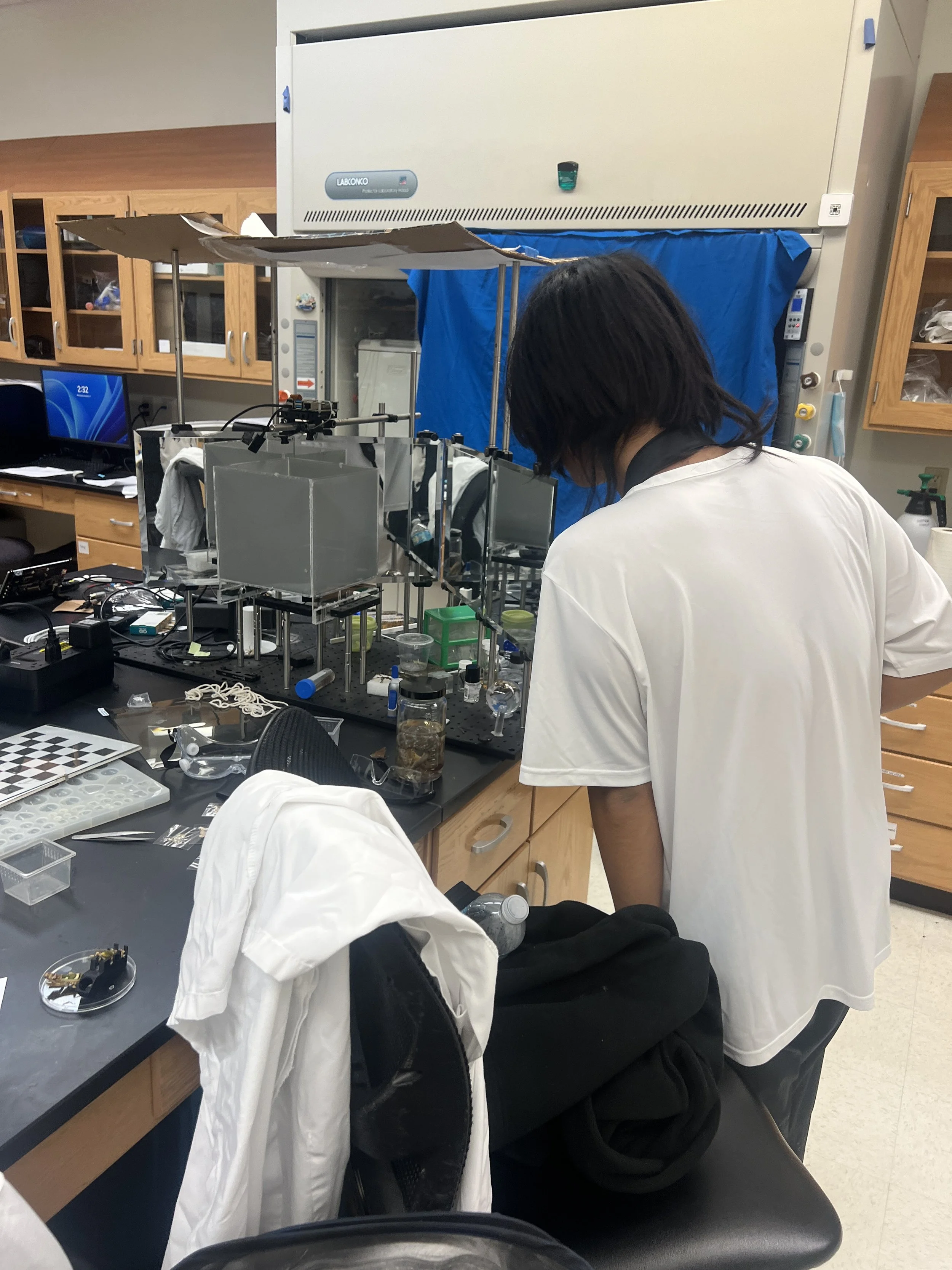 Weixin Image_20260103155323_17_31.jpg