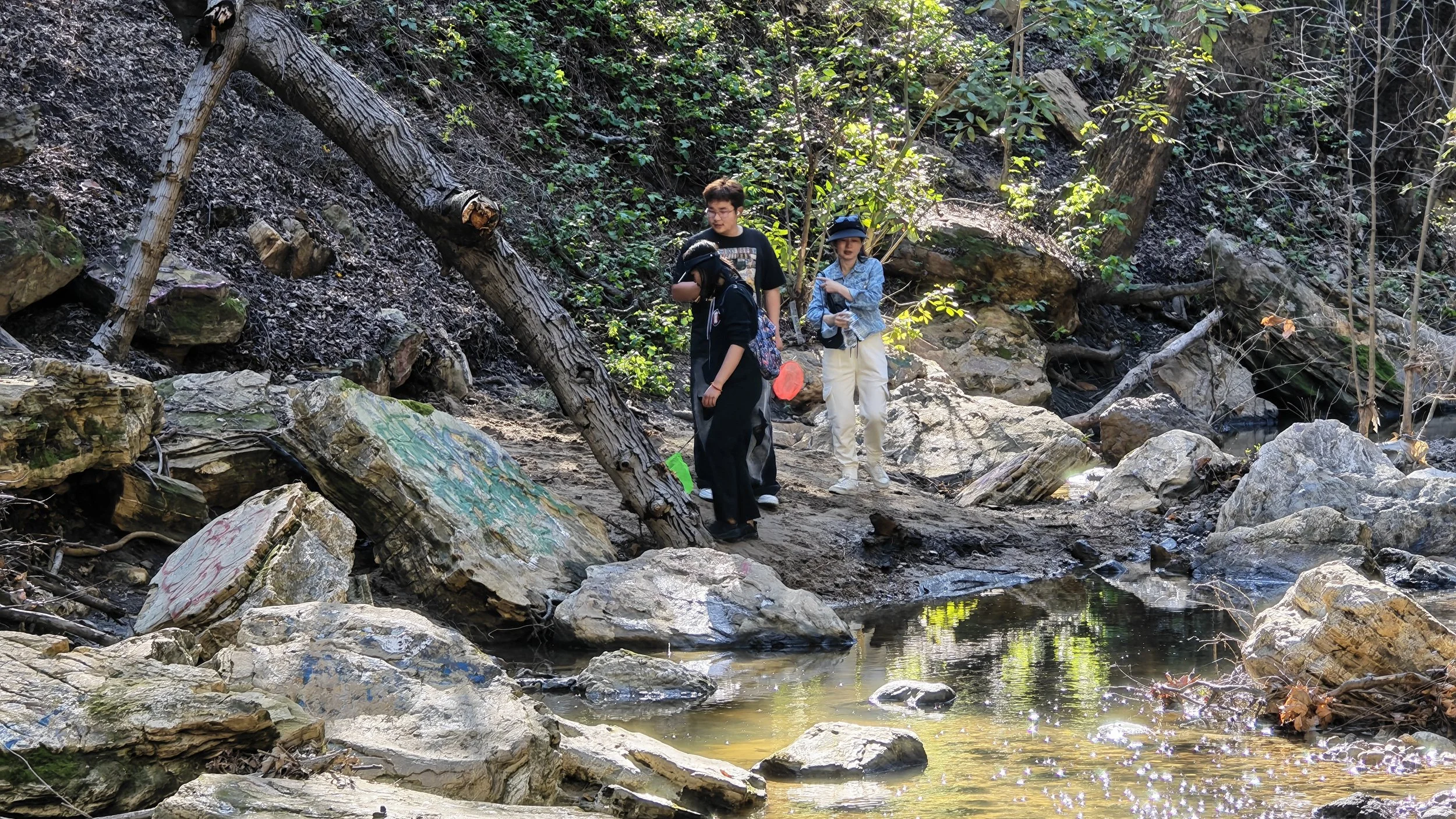 Weixin Image_20260222214437_455_11.jpg