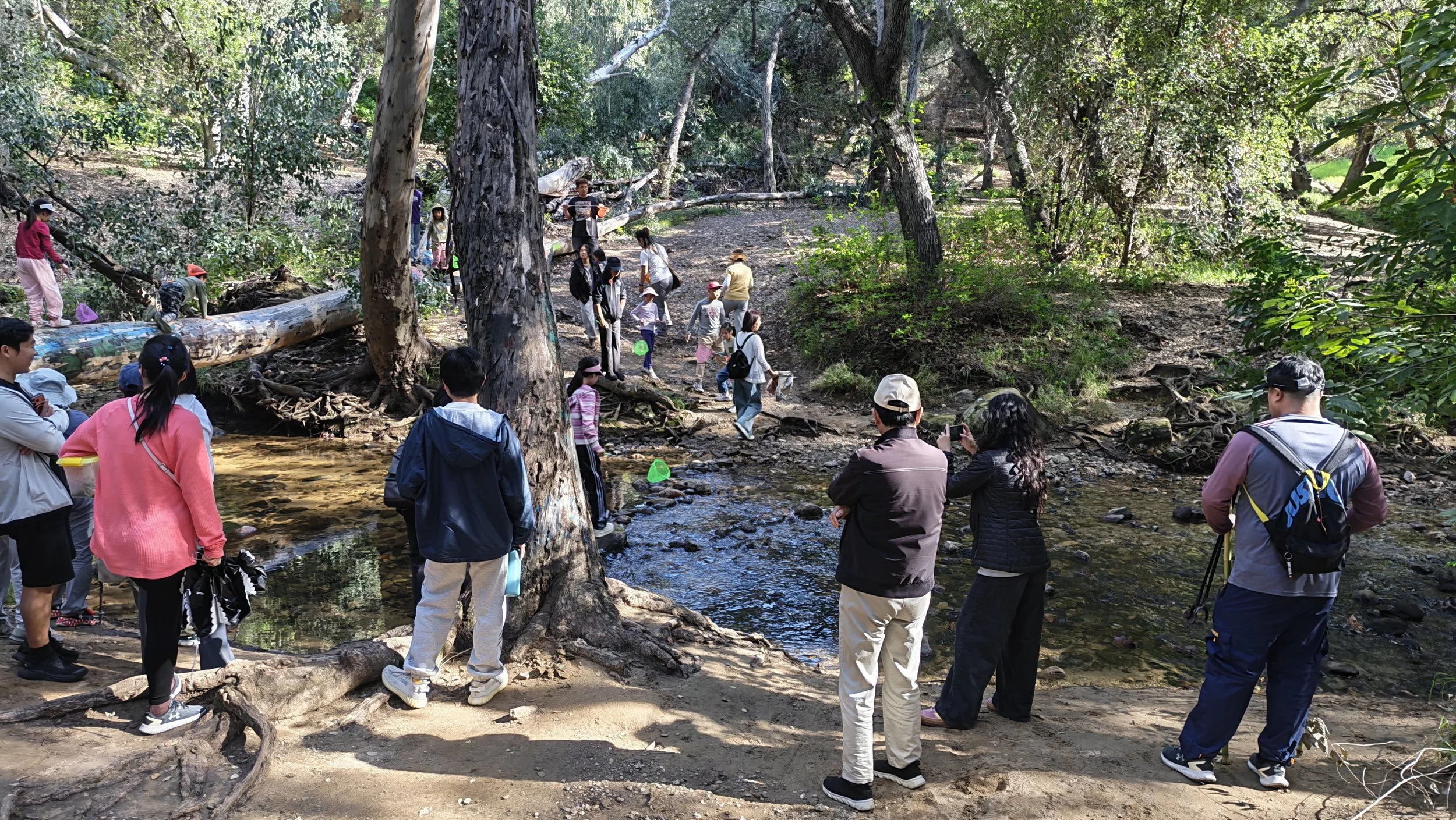 Weixin Image_20260222214343_449_11.jpg