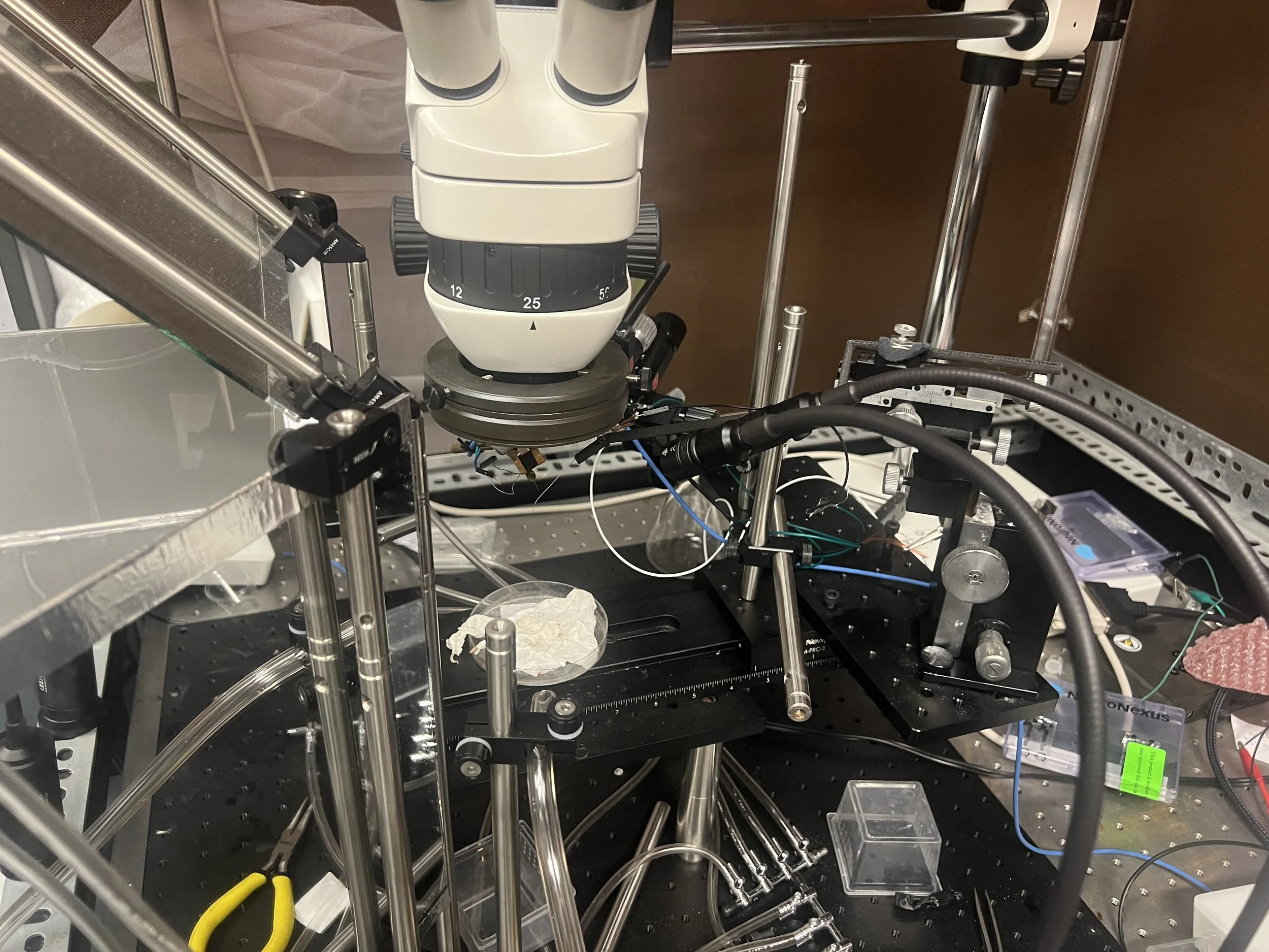 Weixin Image_20260103155334_22_31.jpg