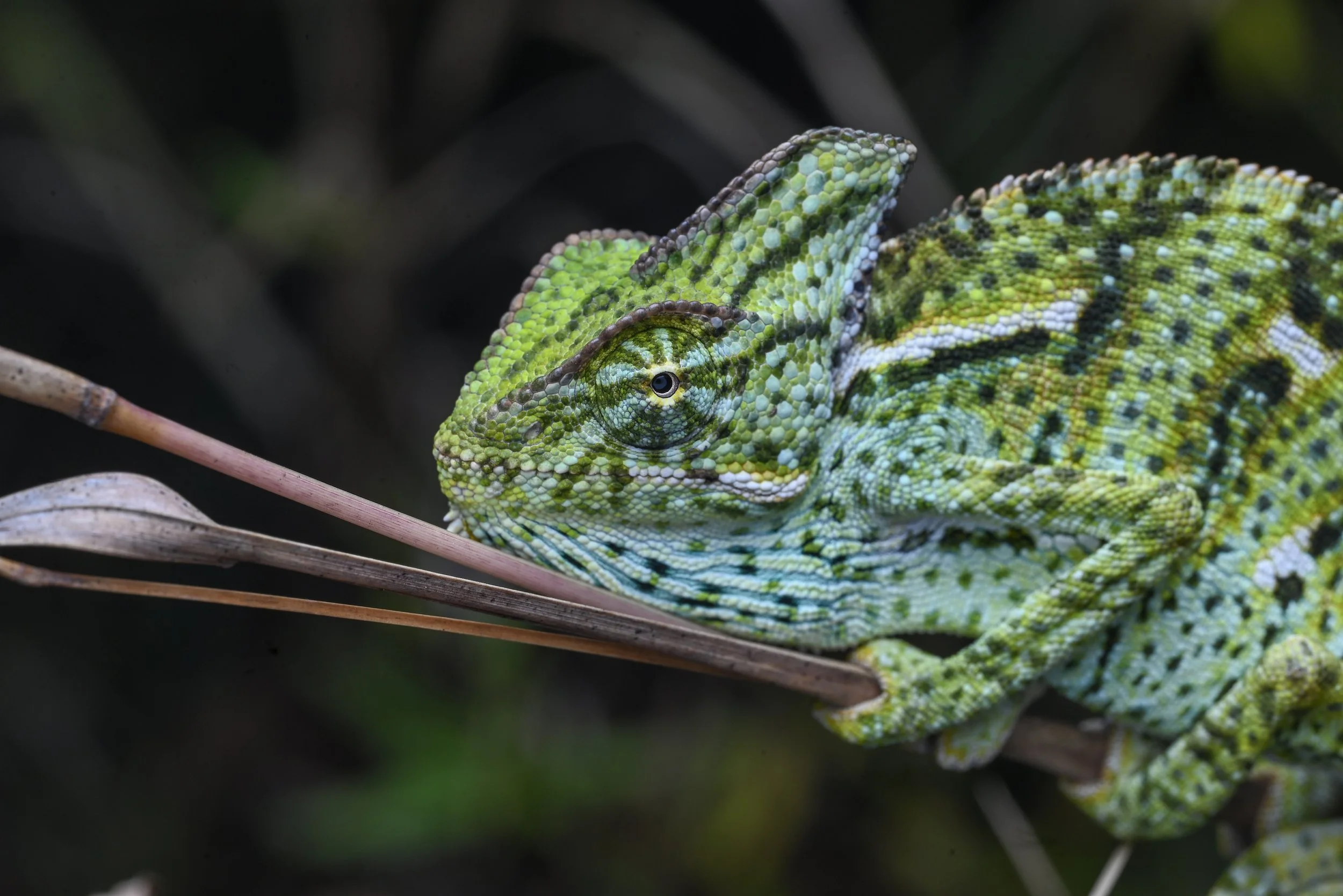 Weixin Image_20260103155517_47_31.jpg