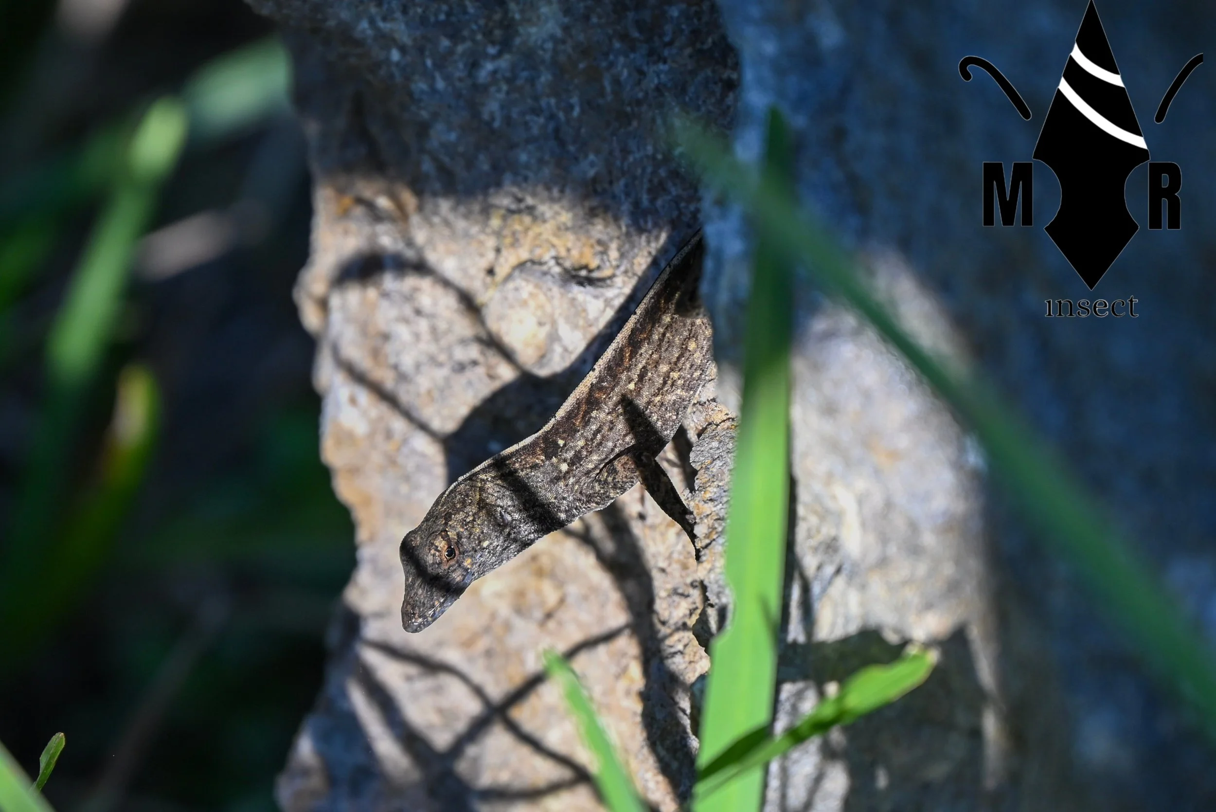 Weixin Image_20260103155616_51_31.jpg