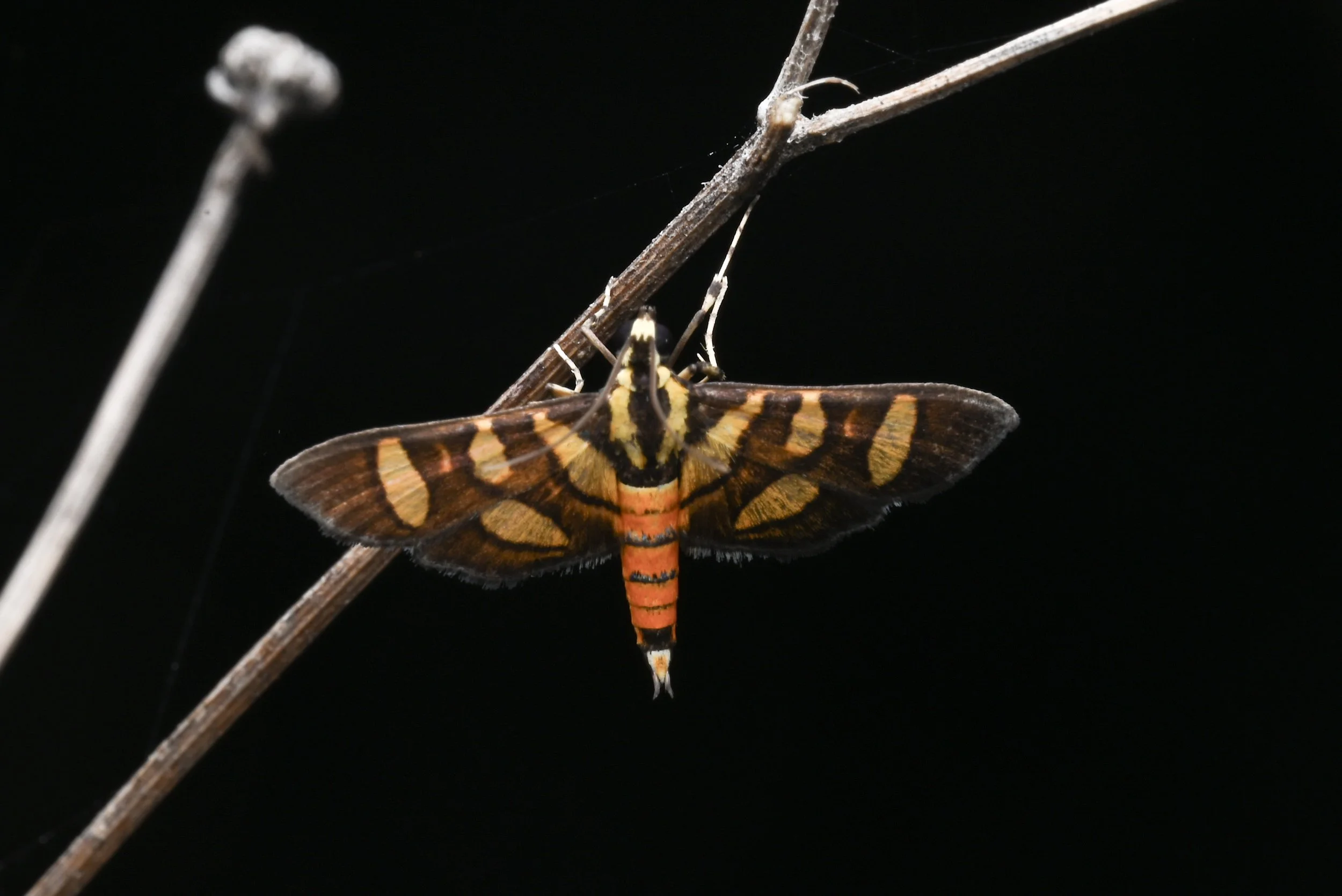 Weixin Image_20260103155356_28_31.jpg