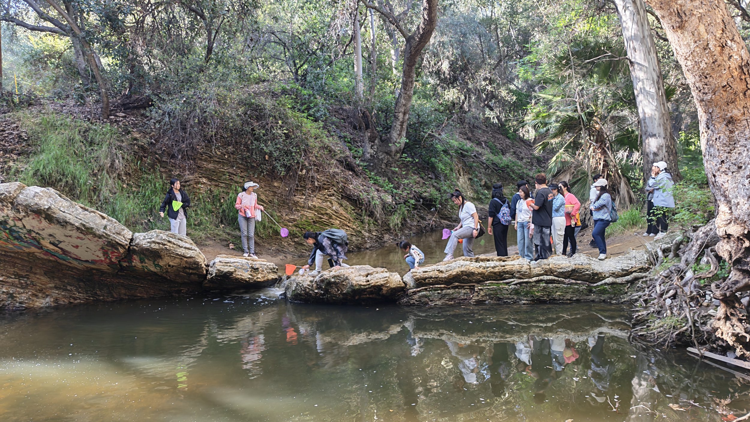 Weixin Image_20260222214516_464_11.jpg