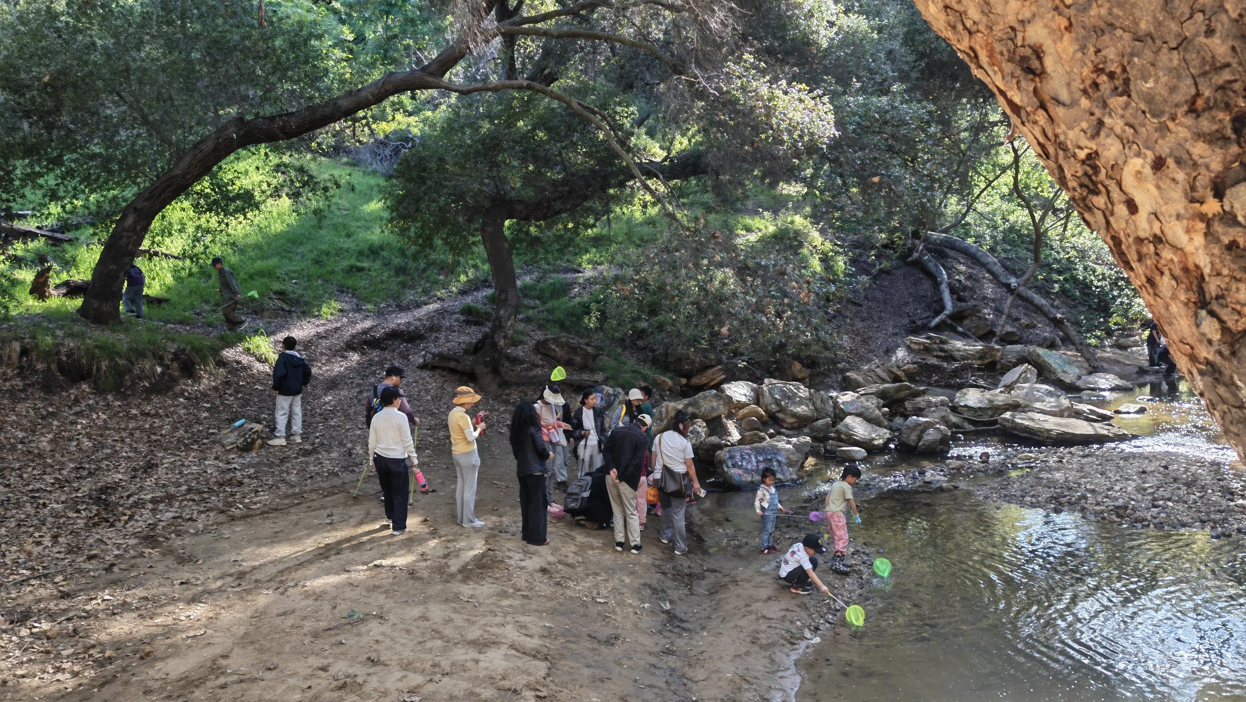 Weixin Image_20260222214421_452_11.jpg