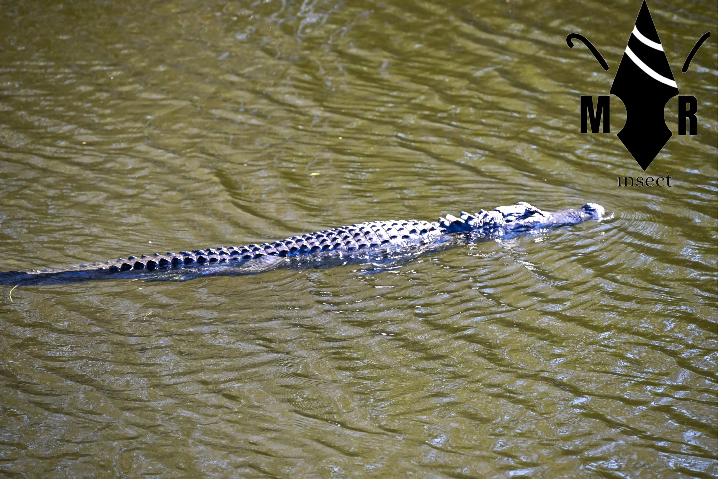 Weixin Image_20260103155643_53_31.jpg