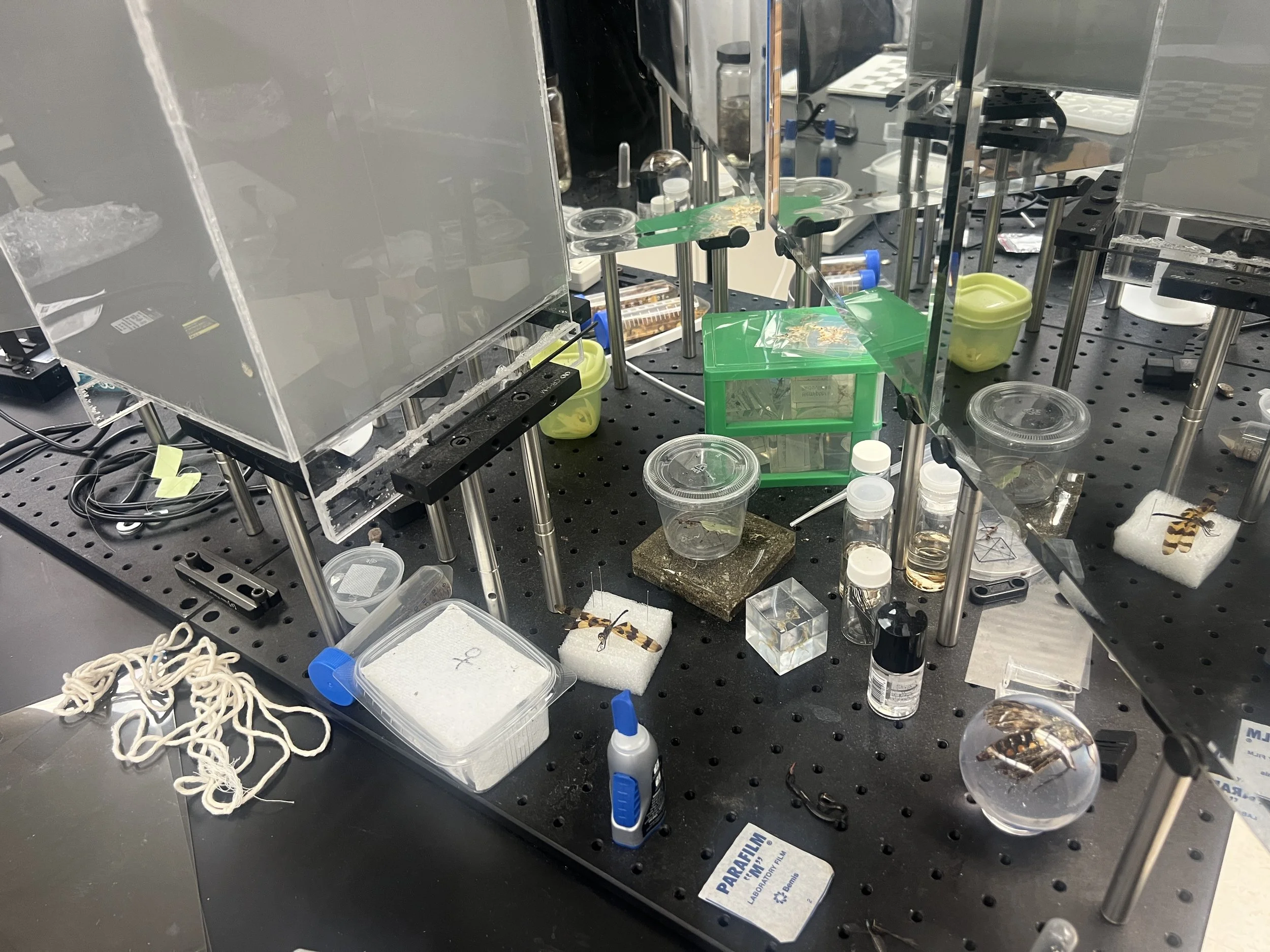 Weixin Image_20260103155342_24_31.jpg