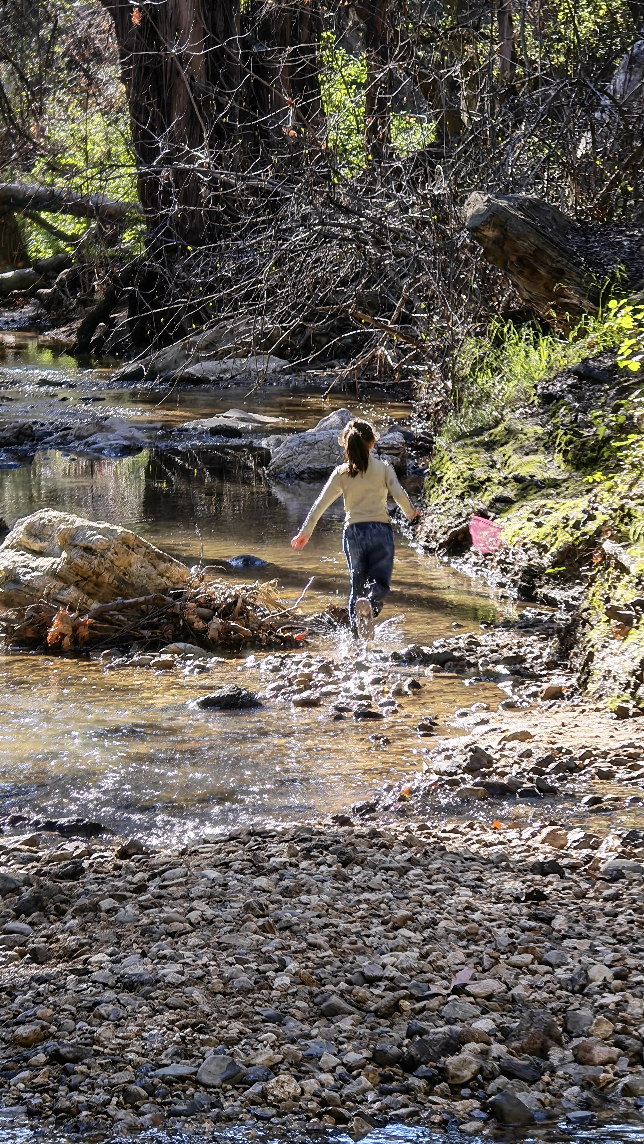 Weixin Image_20260222214442_456_11.jpg