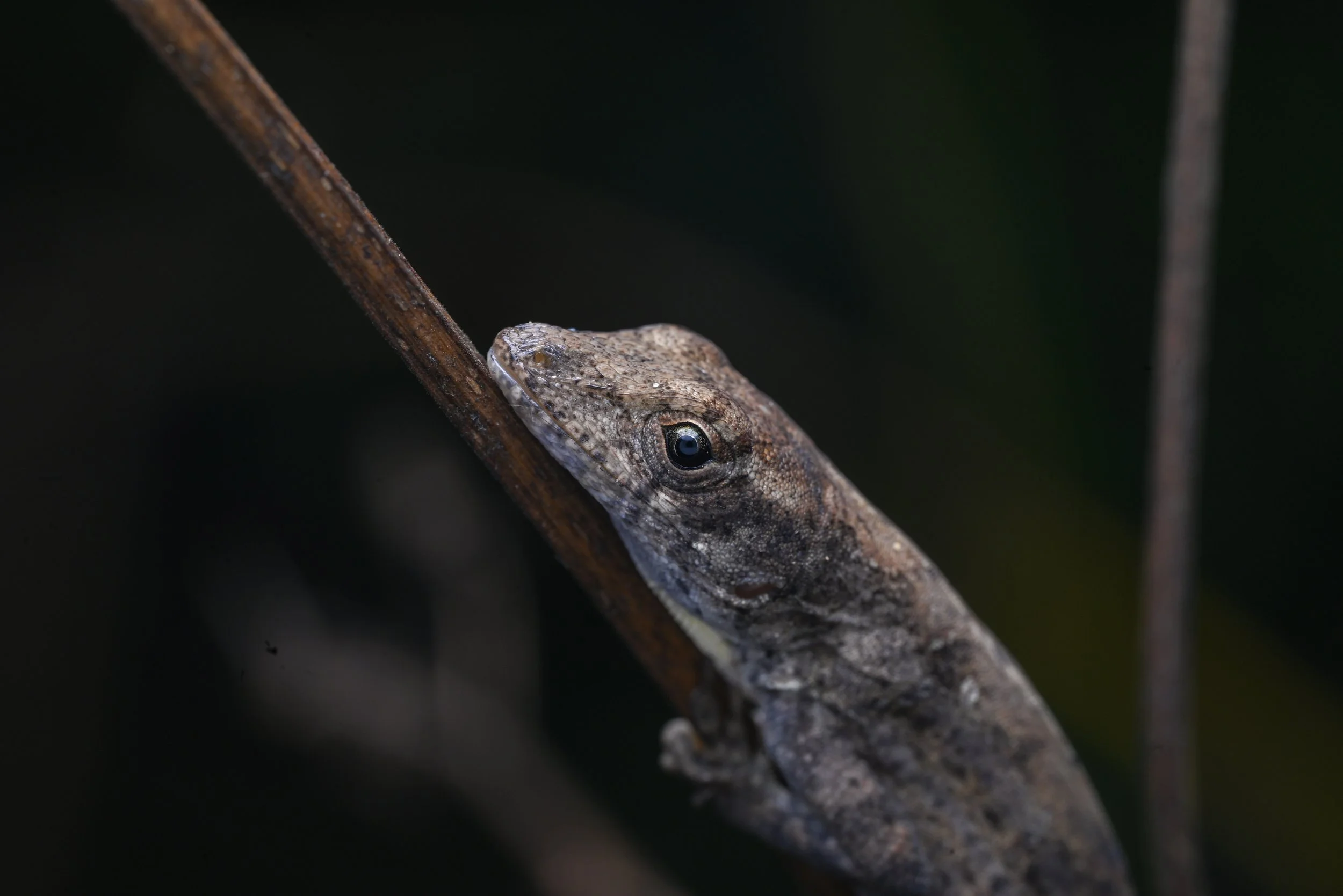 Weixin Image_20260103155513_45_31.jpg