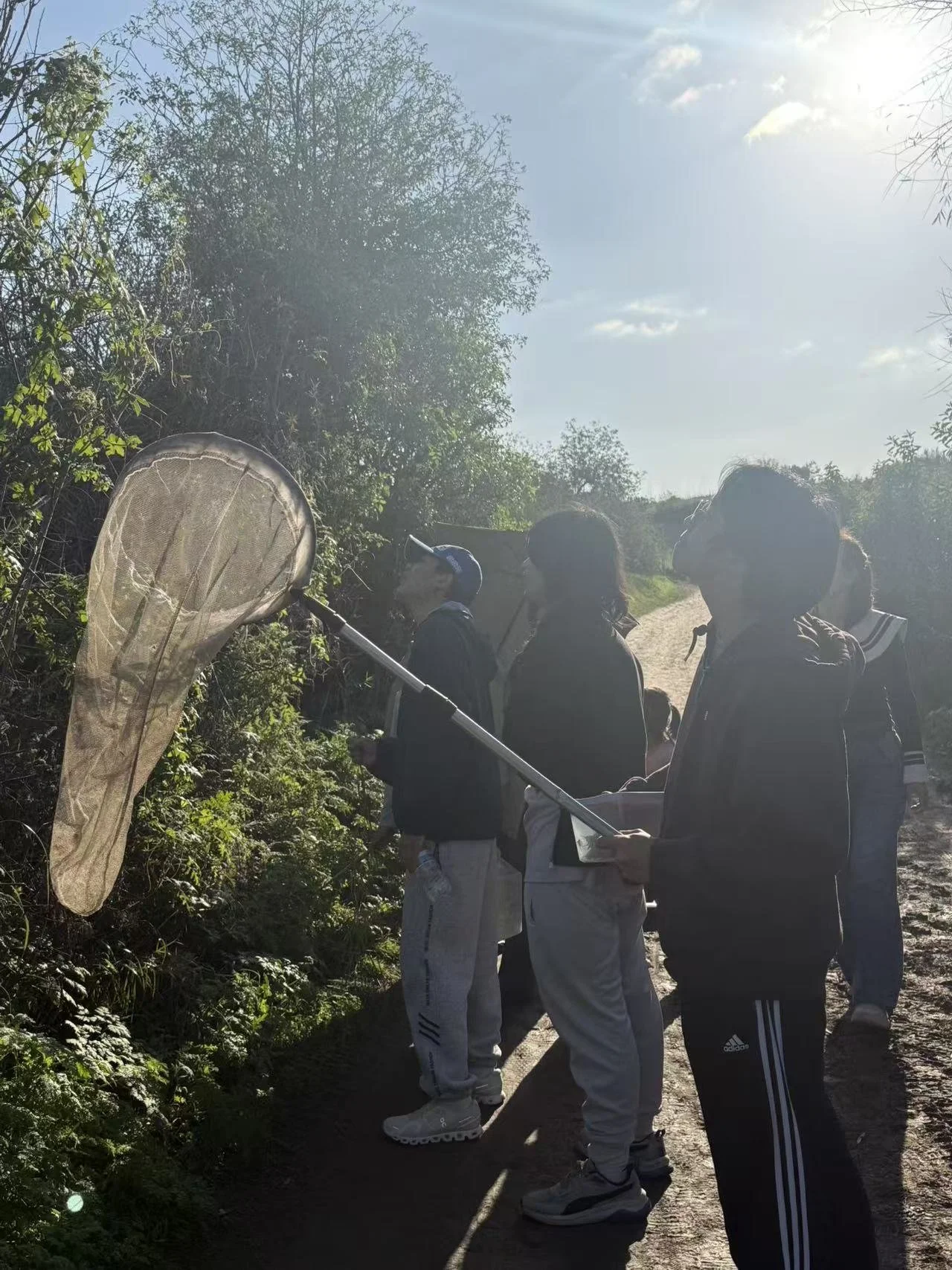 Weixin Image_20260125001717_86_31.jpg