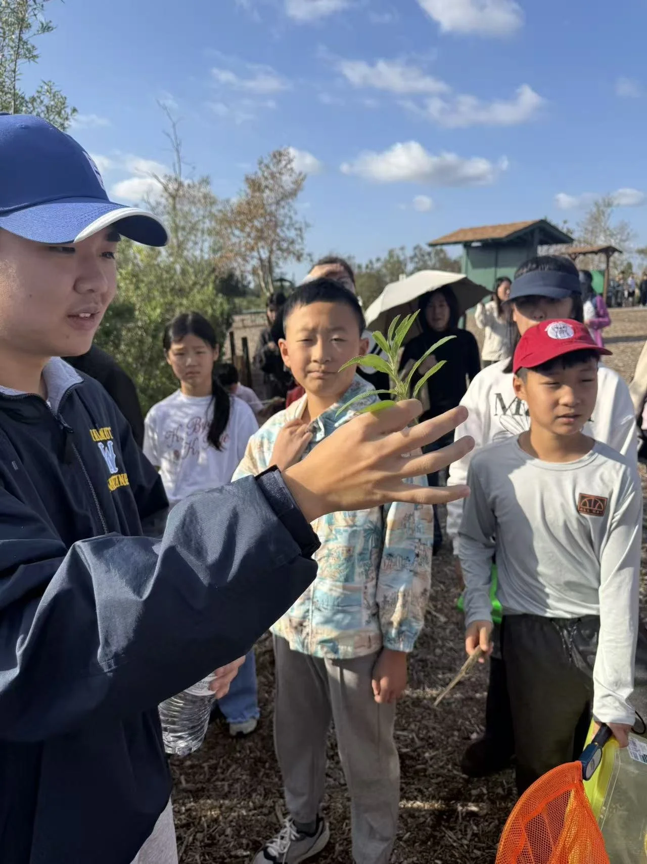 Weixin Image_20260125001528_77_31.jpg