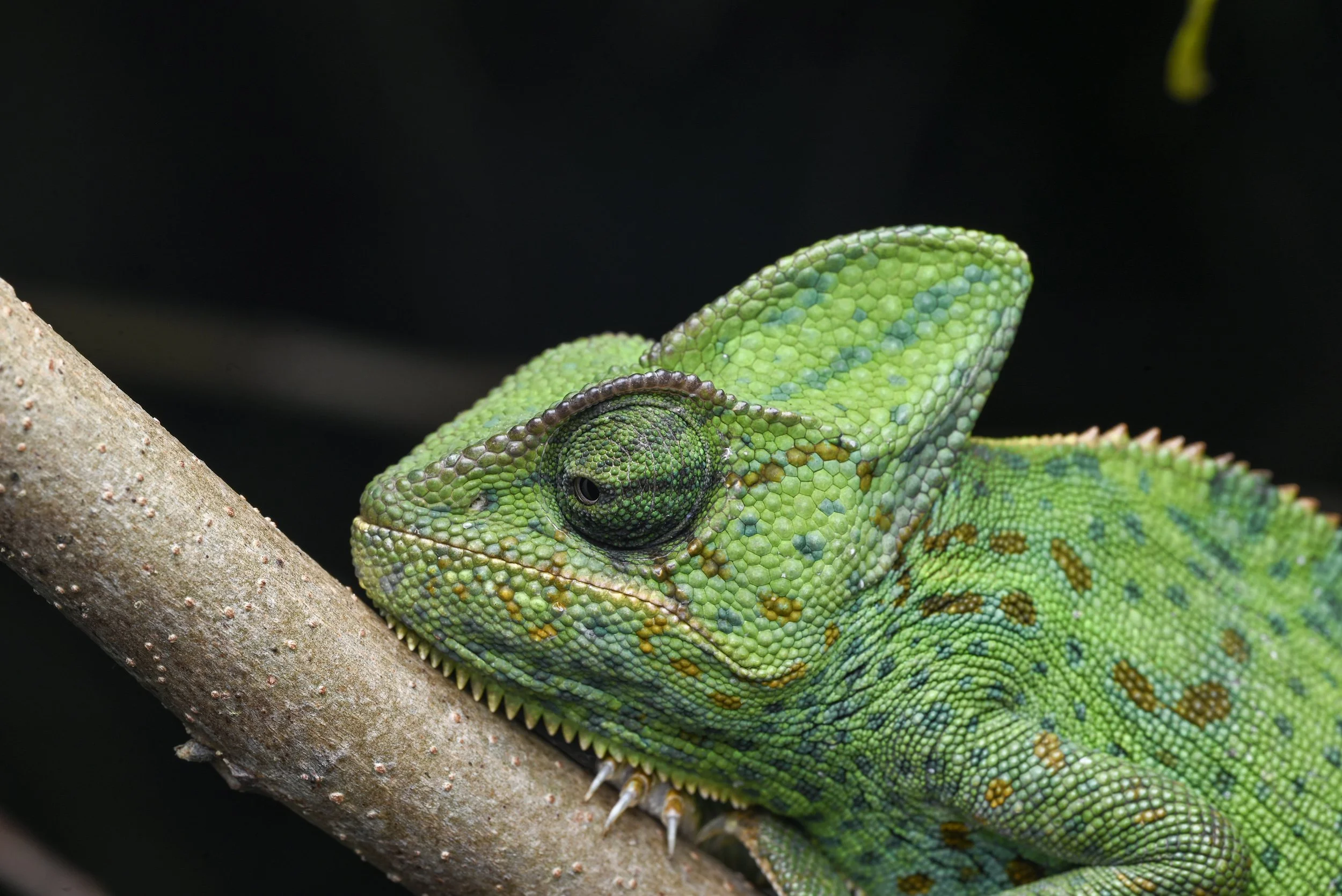 Weixin Image_20260103155502_41_31.jpg