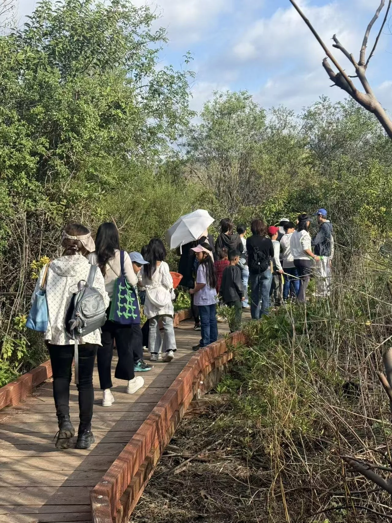 Weixin Image_20260125001712_82_31.jpg