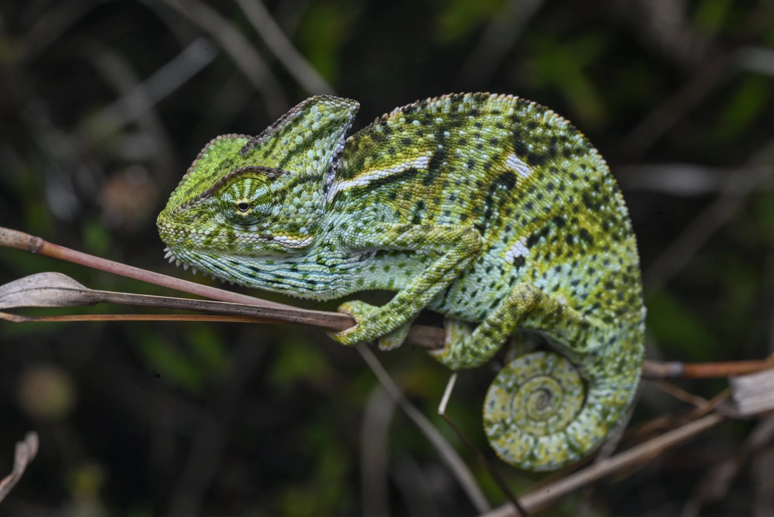 Weixin Image_20260103155520_48_31.jpg