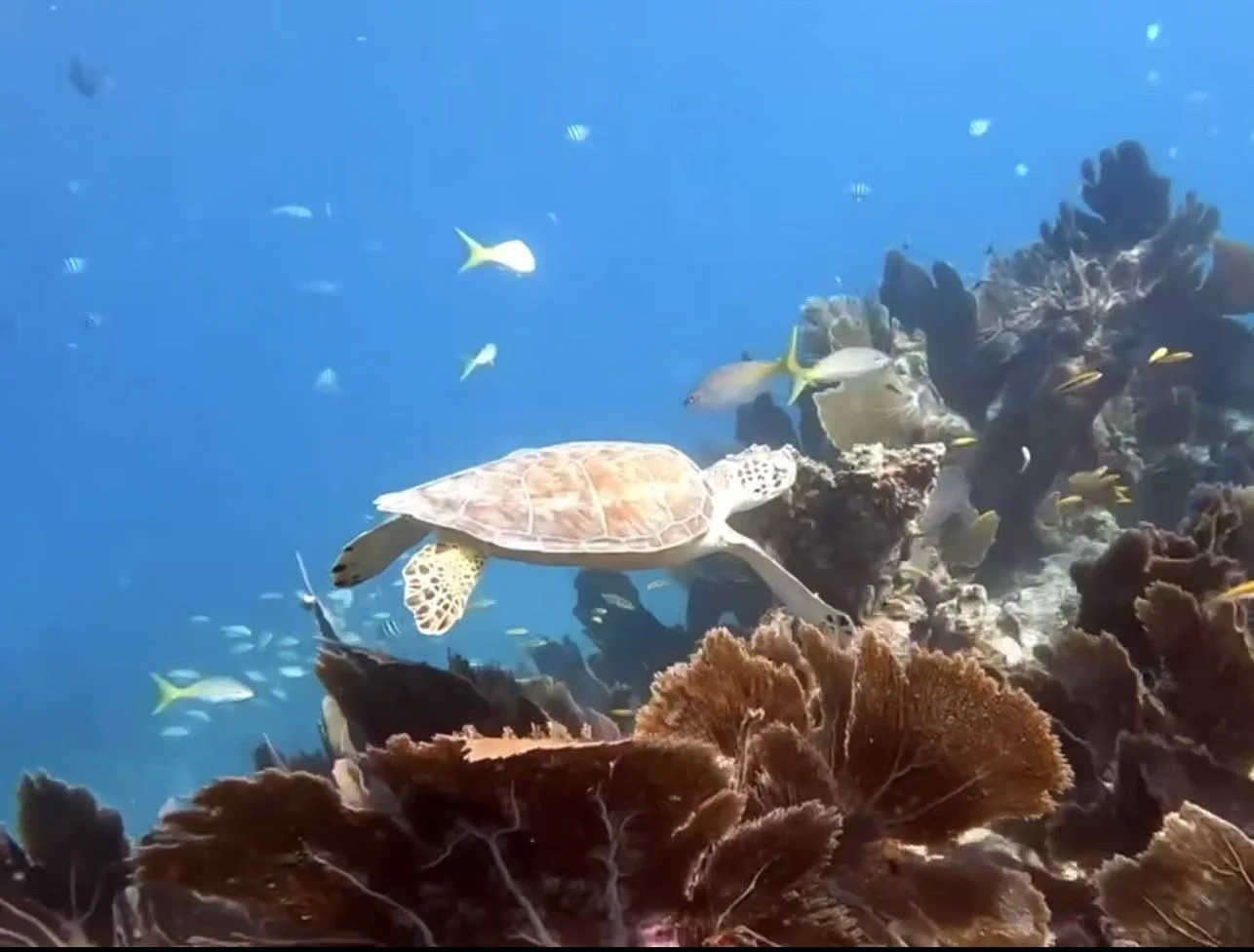 Weixin Image_20260103155302_9_31.jpg