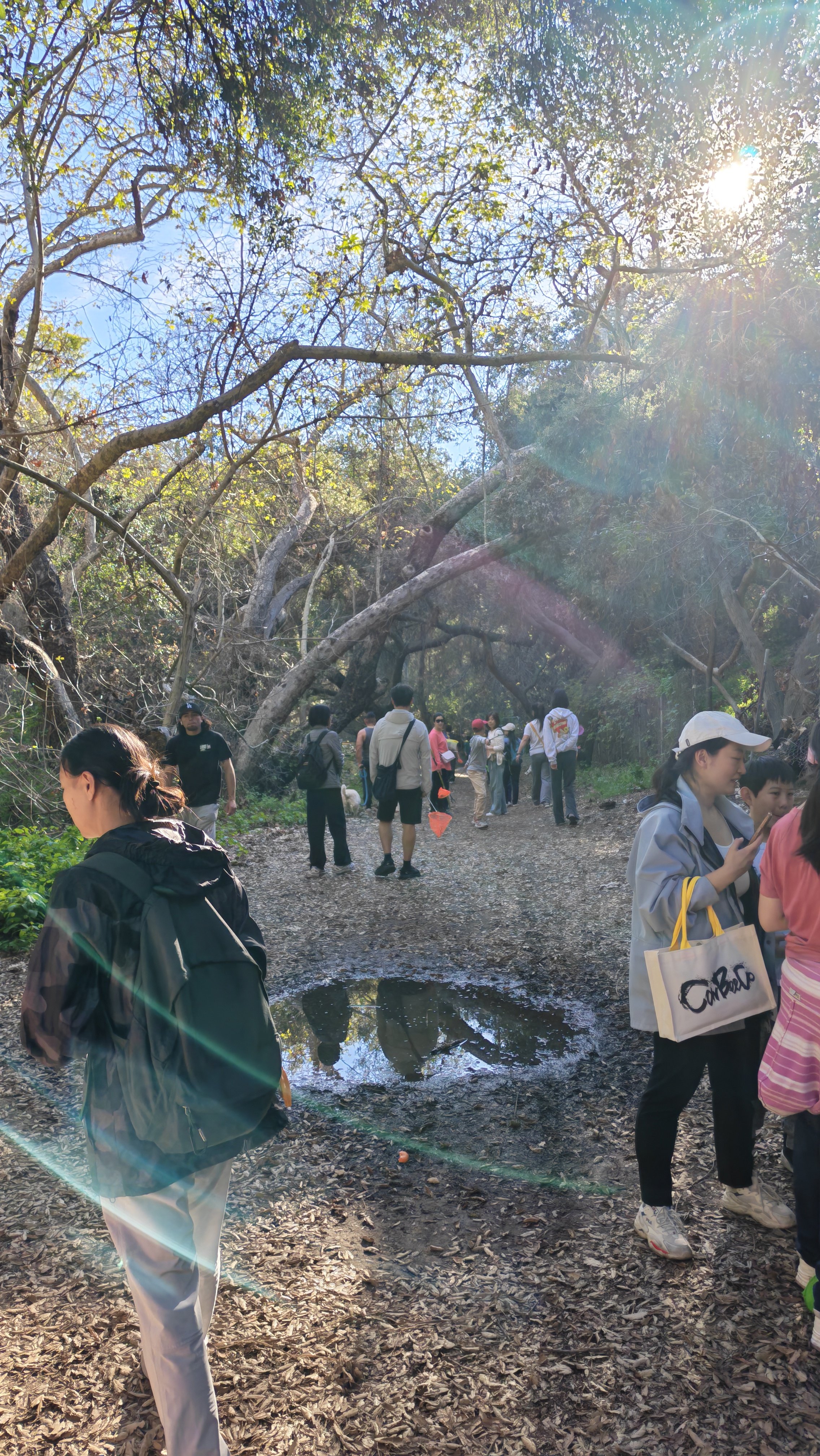 Weixin Image_20260222214530_467_11.jpg