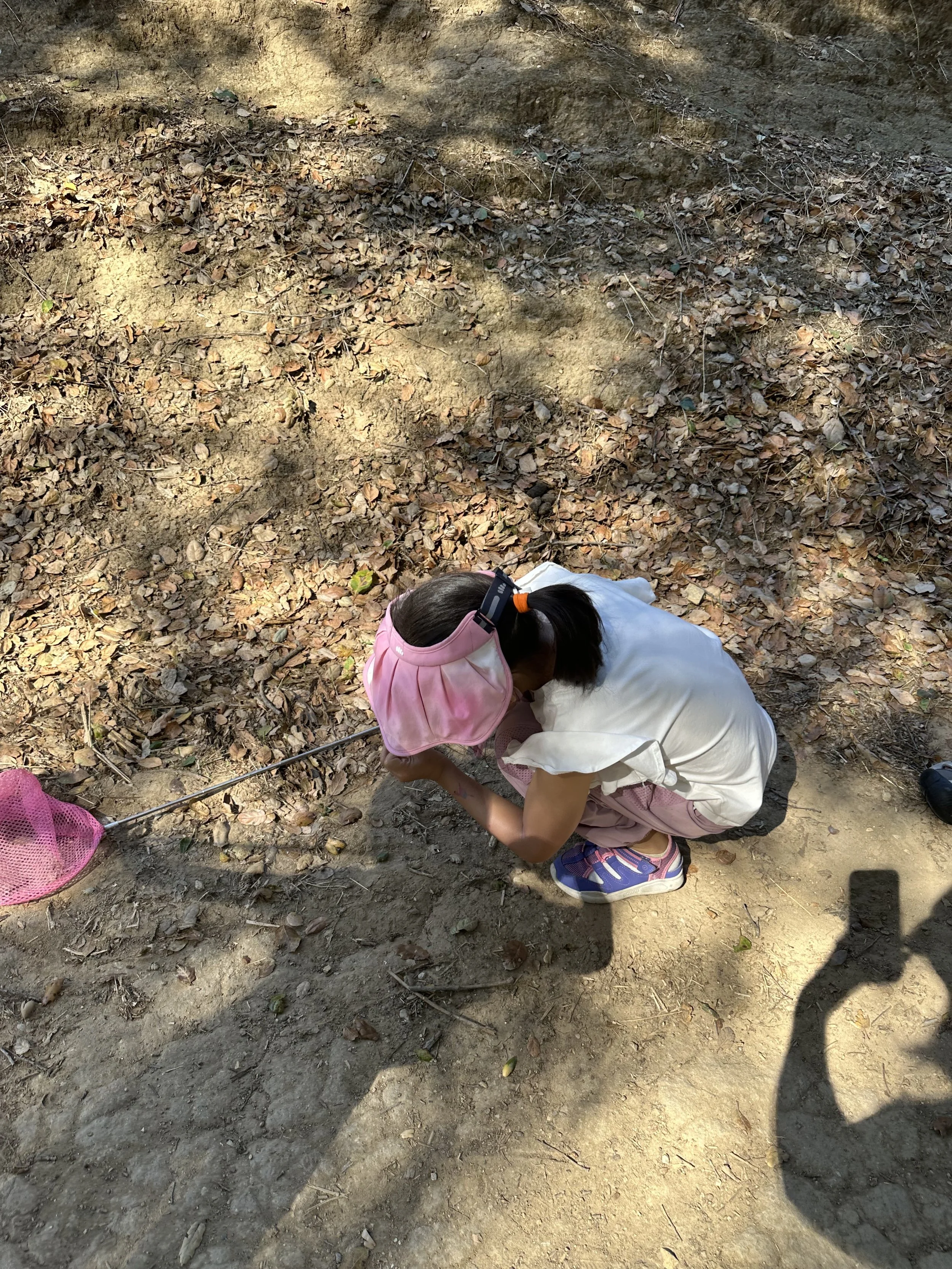 Weixin Image_20260913222114_49_27.jpg