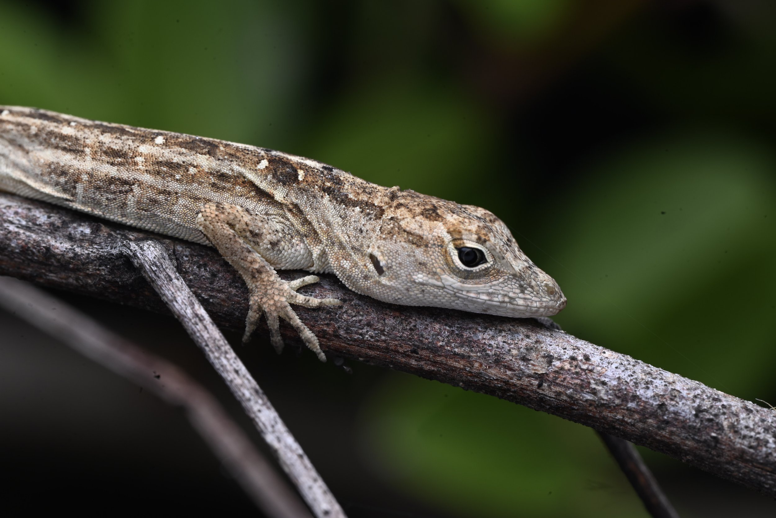 Weixin Image_20260103155455_39_31.jpg