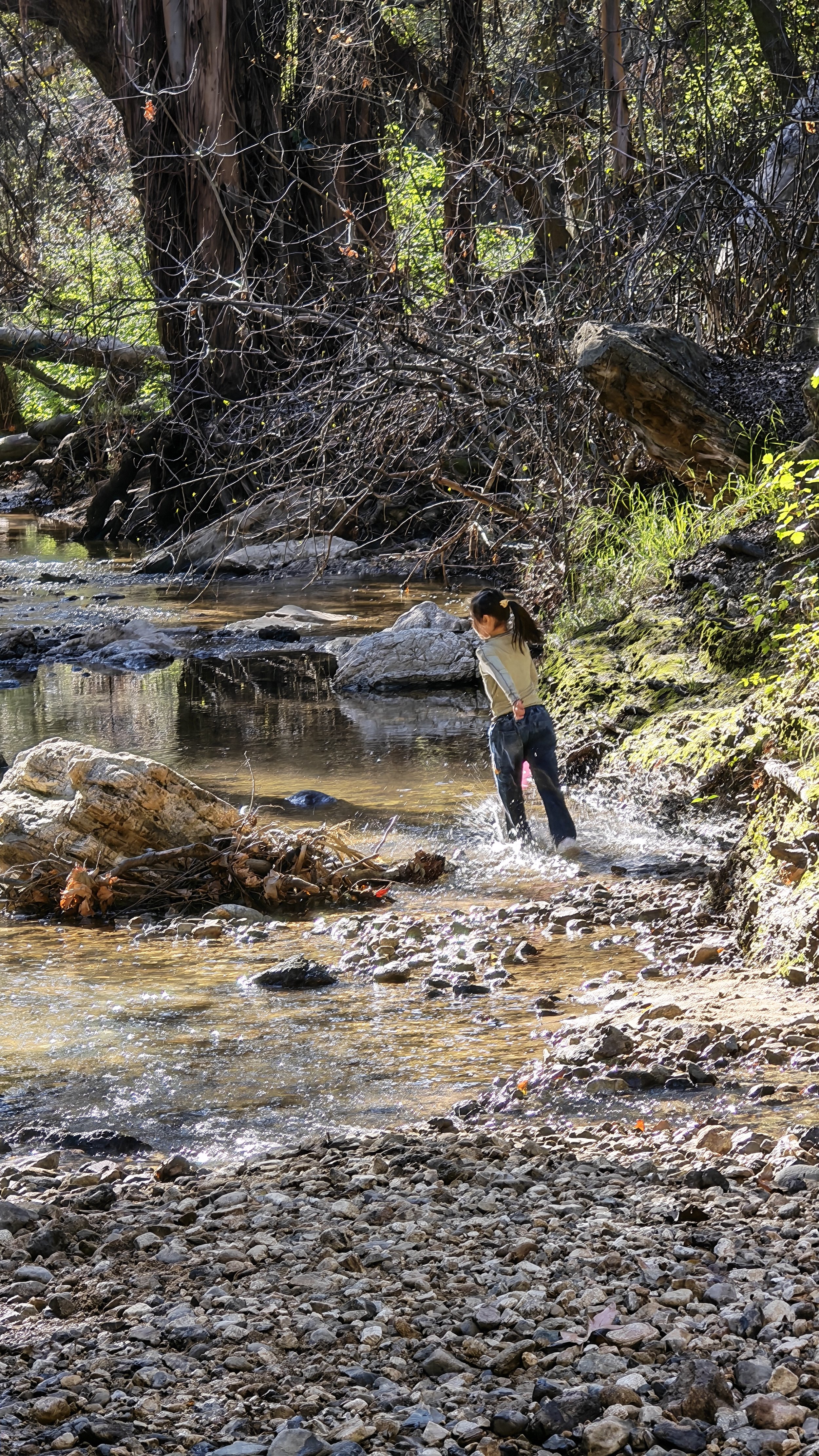 Weixin Image_20260222214447_457_11.jpg