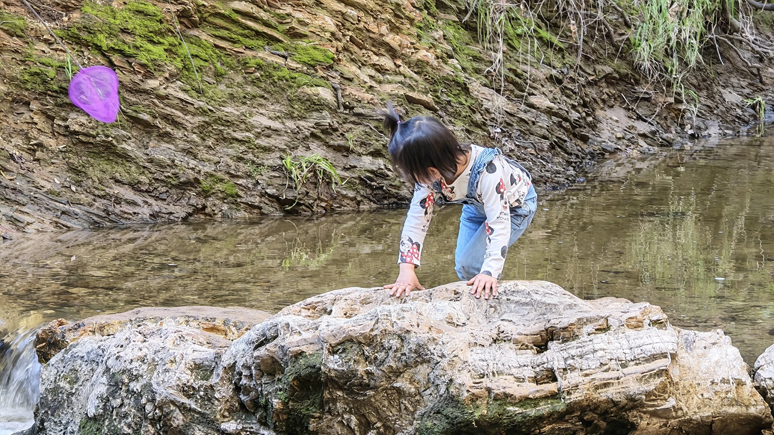 Weixin Image_20260222214521_465_11.jpg