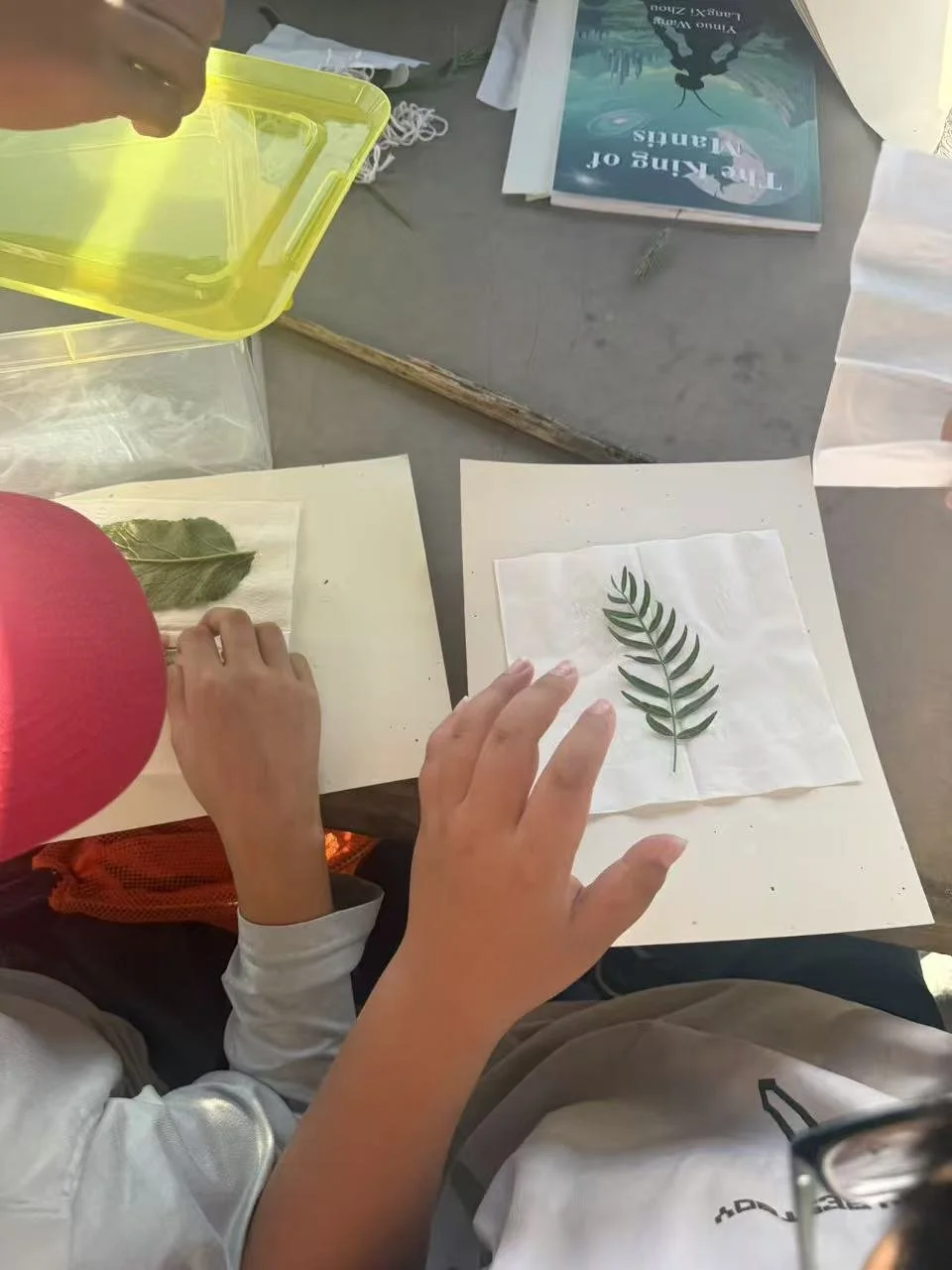 Weixin Image_20260125001448_72_31.jpg