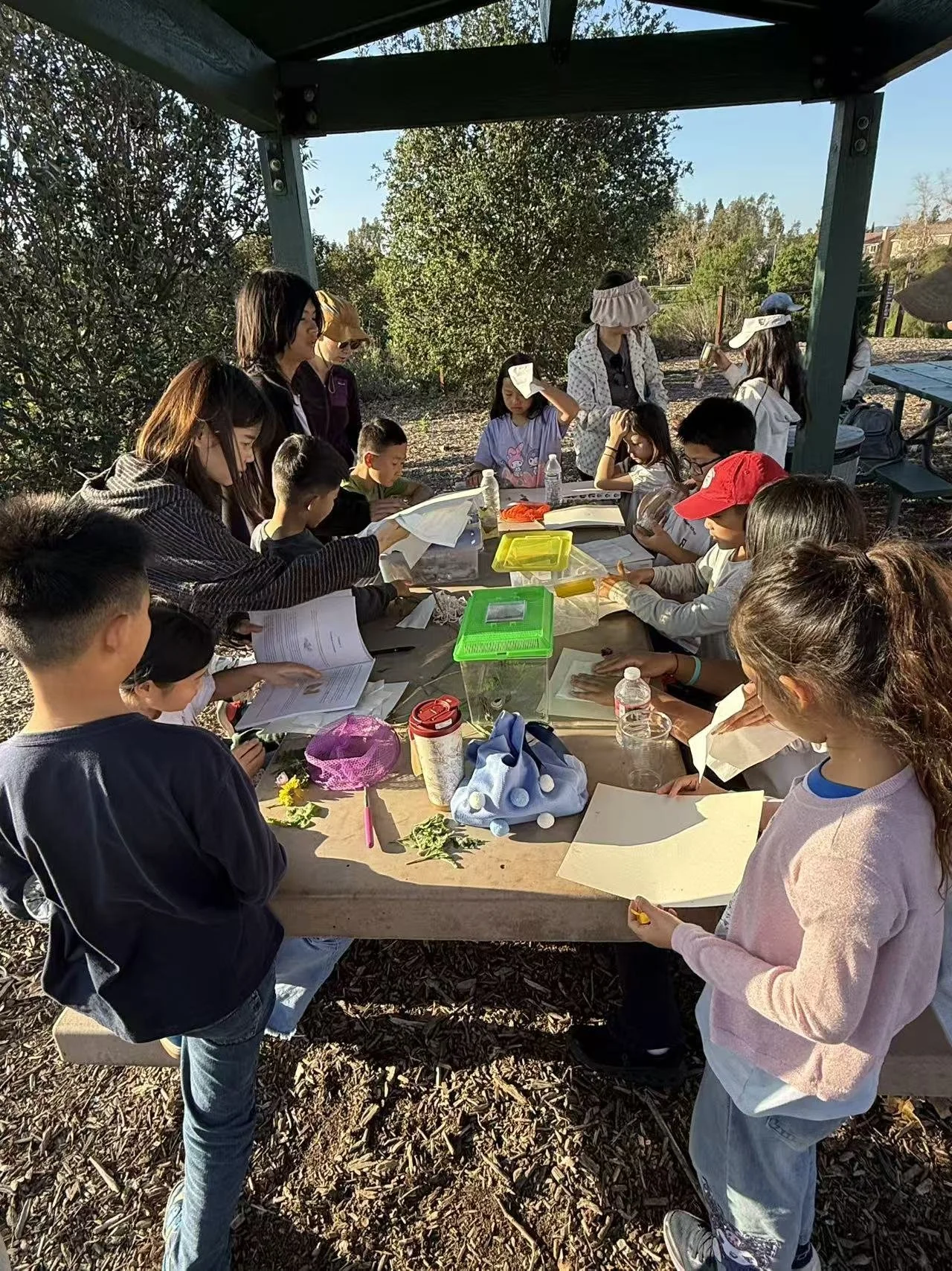 Weixin Image_20260125001441_71_31.jpg