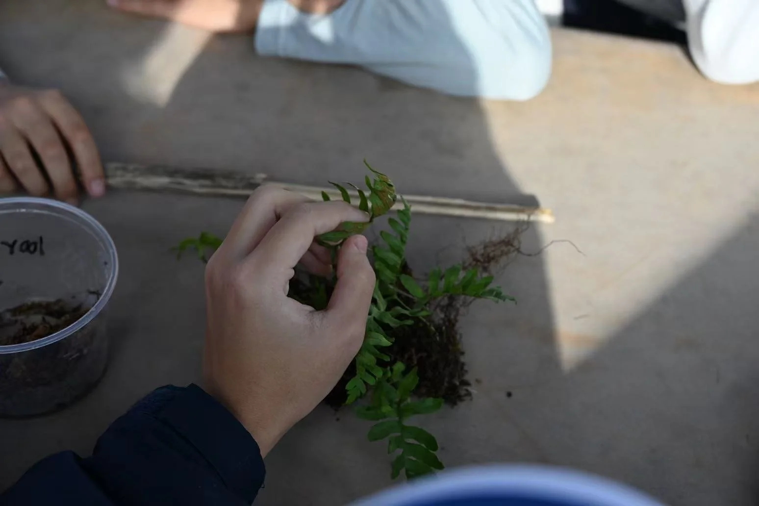 Weixin Image_20260125001341_66_31.jpg