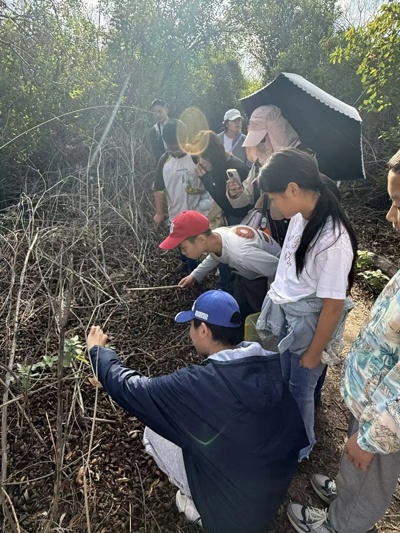 Weixin Image_20260125001213_62_31.jpg