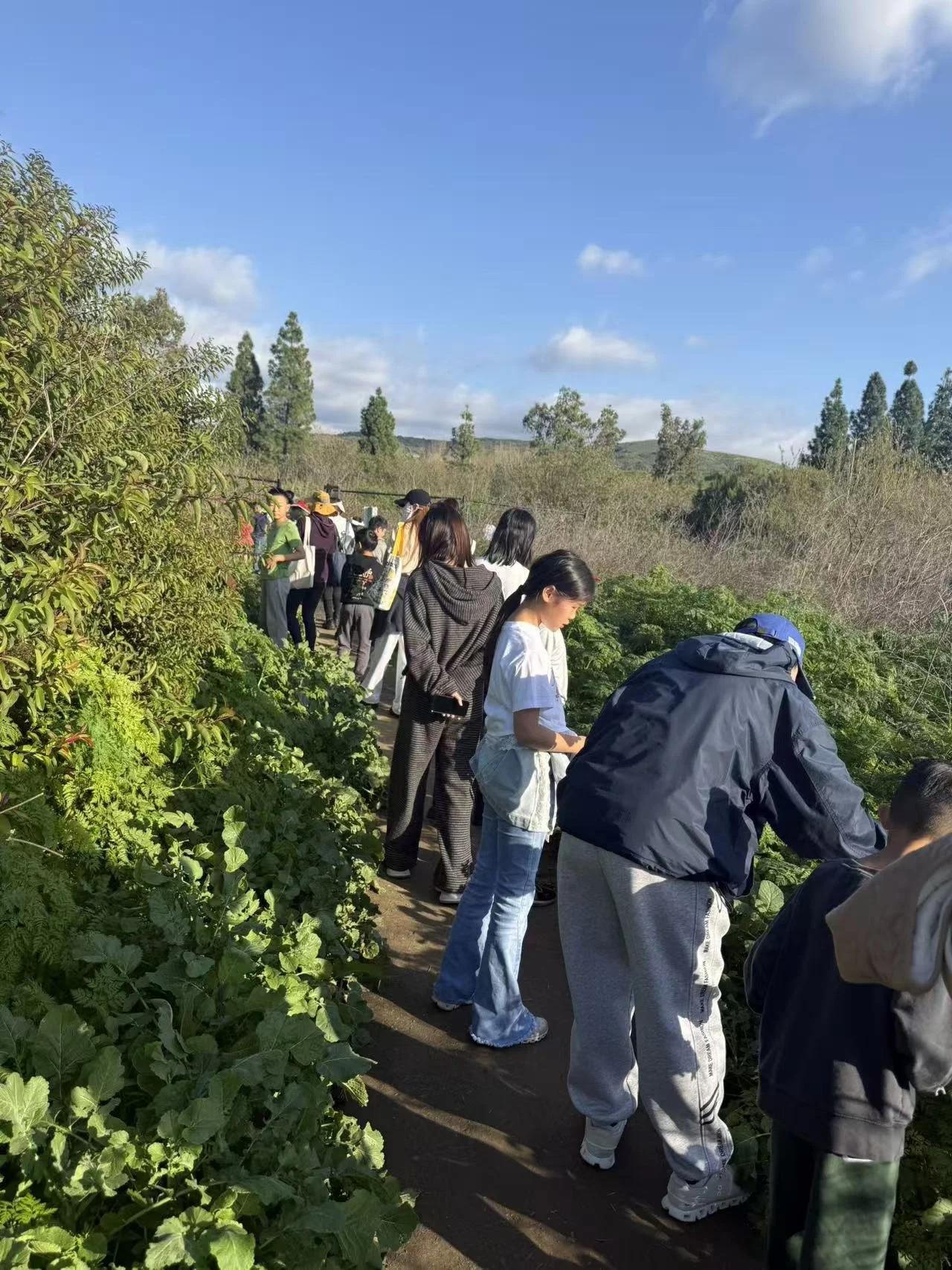 Weixin Image_20260125001718_87_31.jpg