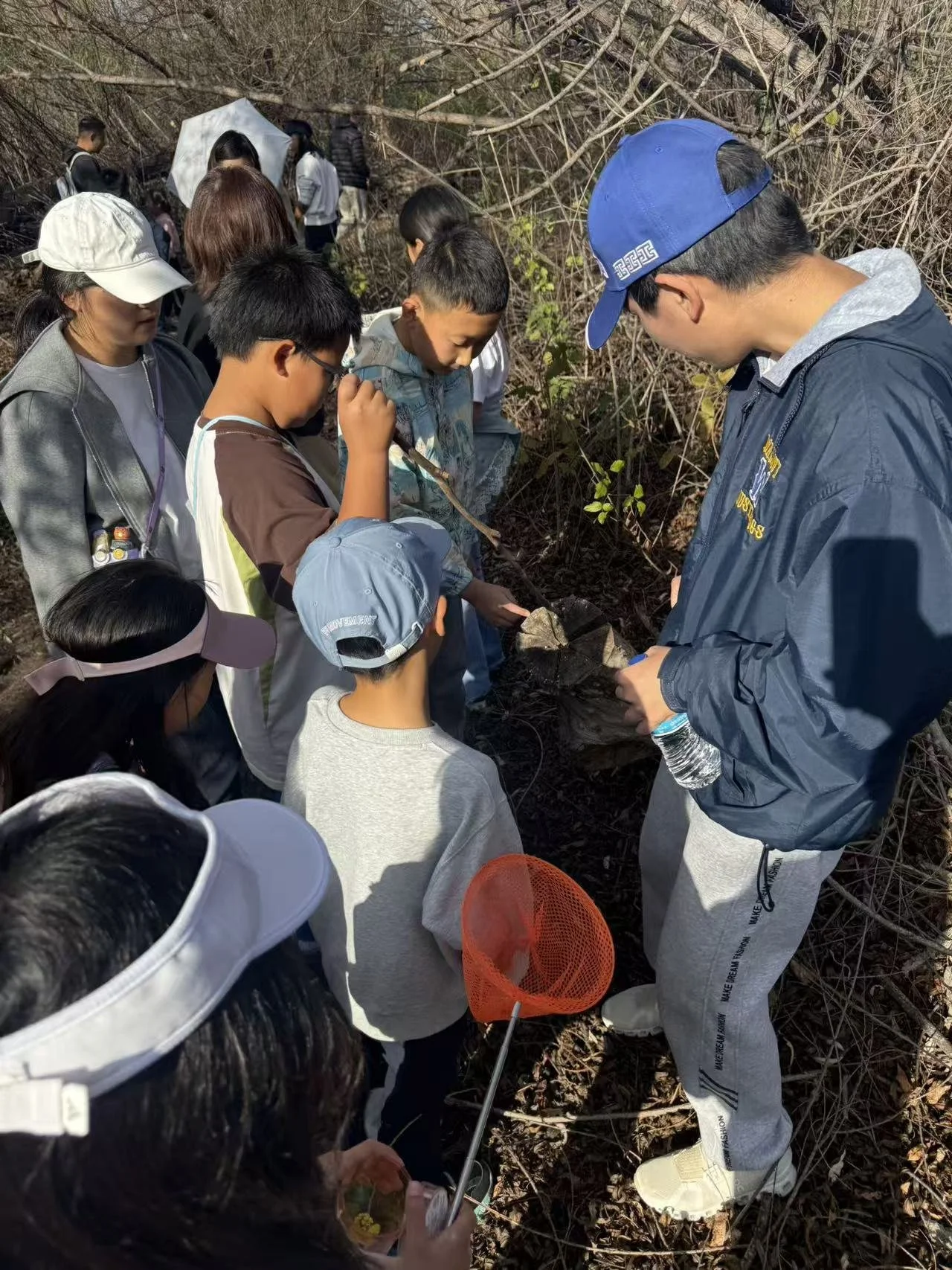 Weixin Image_20260125001713_83_31.jpg